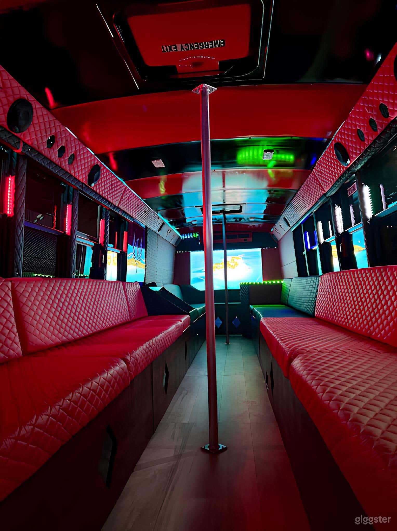 Black Party Bus with Crimson Interiors Photo 3