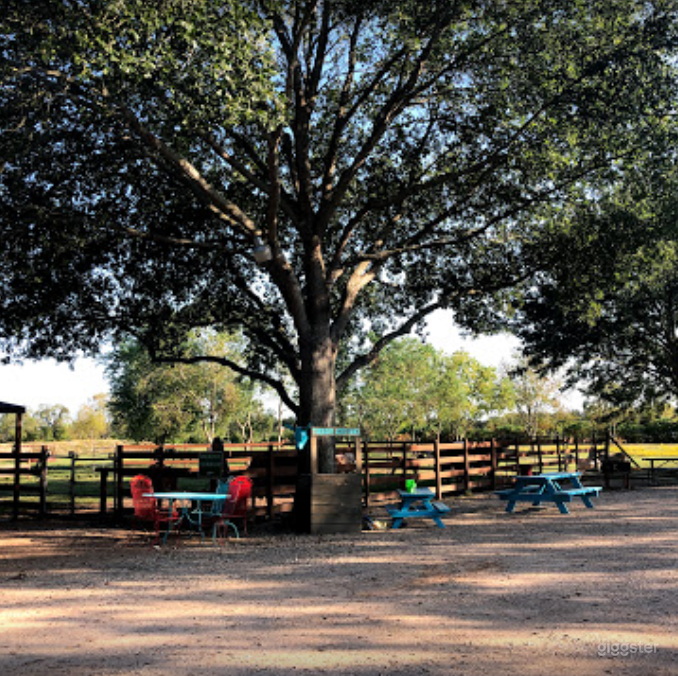 Party/Quince Venue, Petting Farm &amp; Pool Rental Photo 4