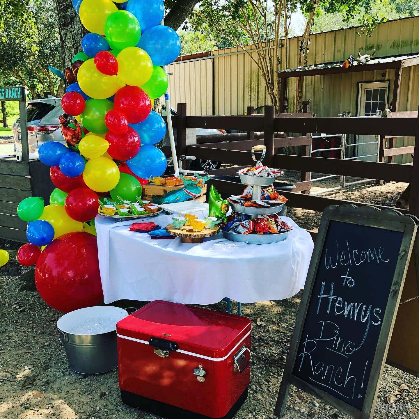 Our ranch is perfect for western themed kids birthday parties. 
