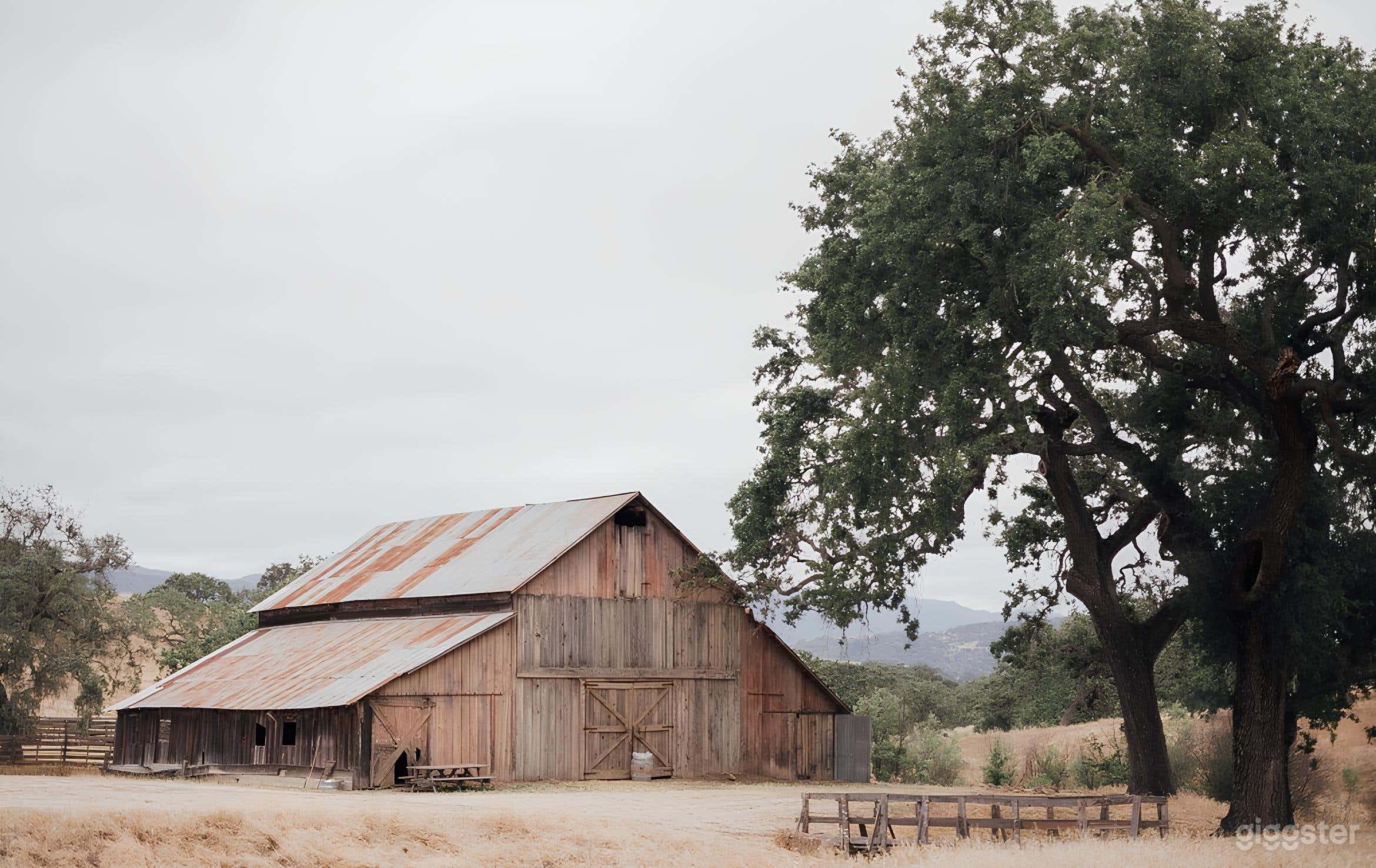 Vineyard Estate with Event Venues (Buyout) Photo 3