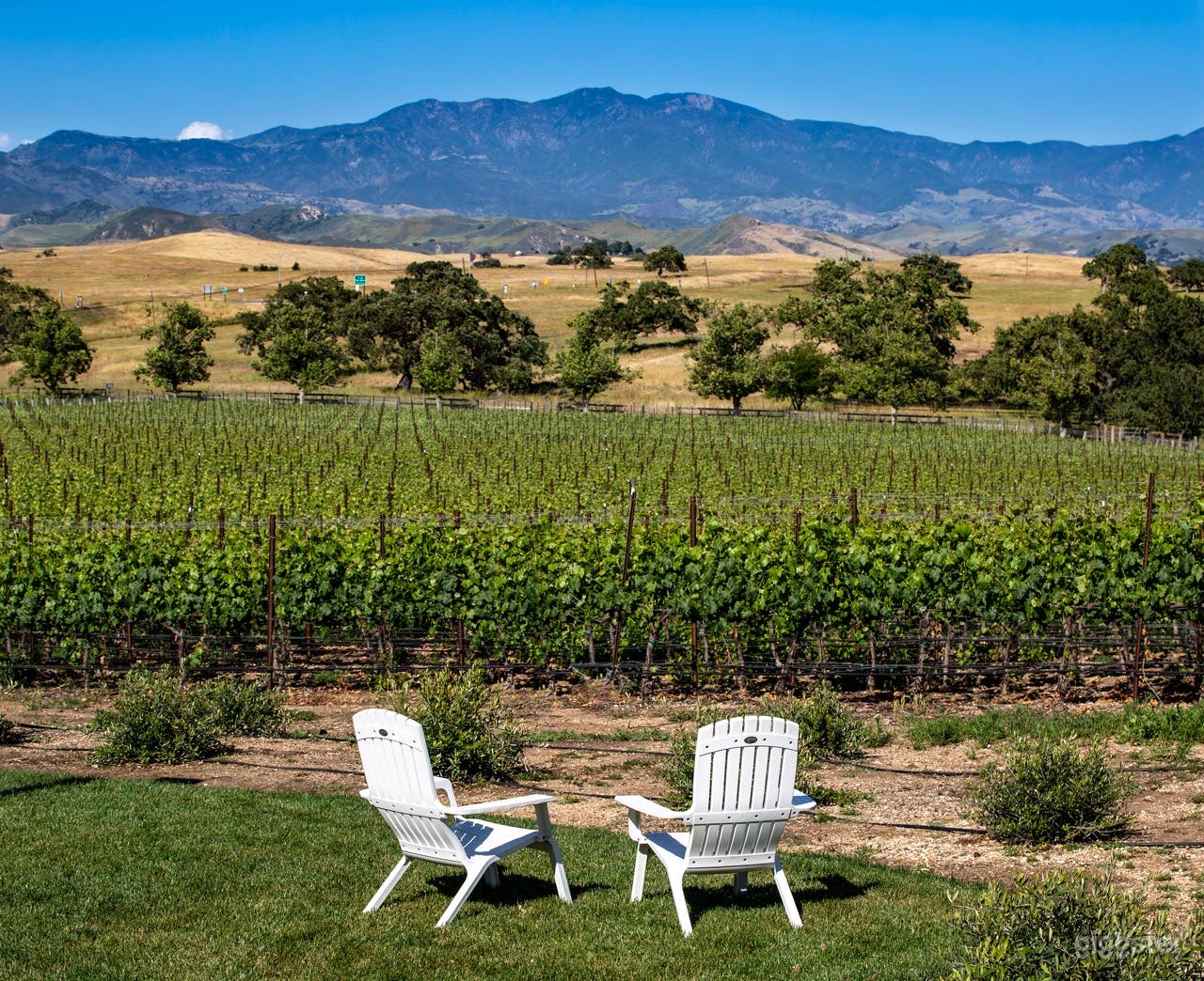 Vineyard Estate with Event Venues (Buyout) Photo 1