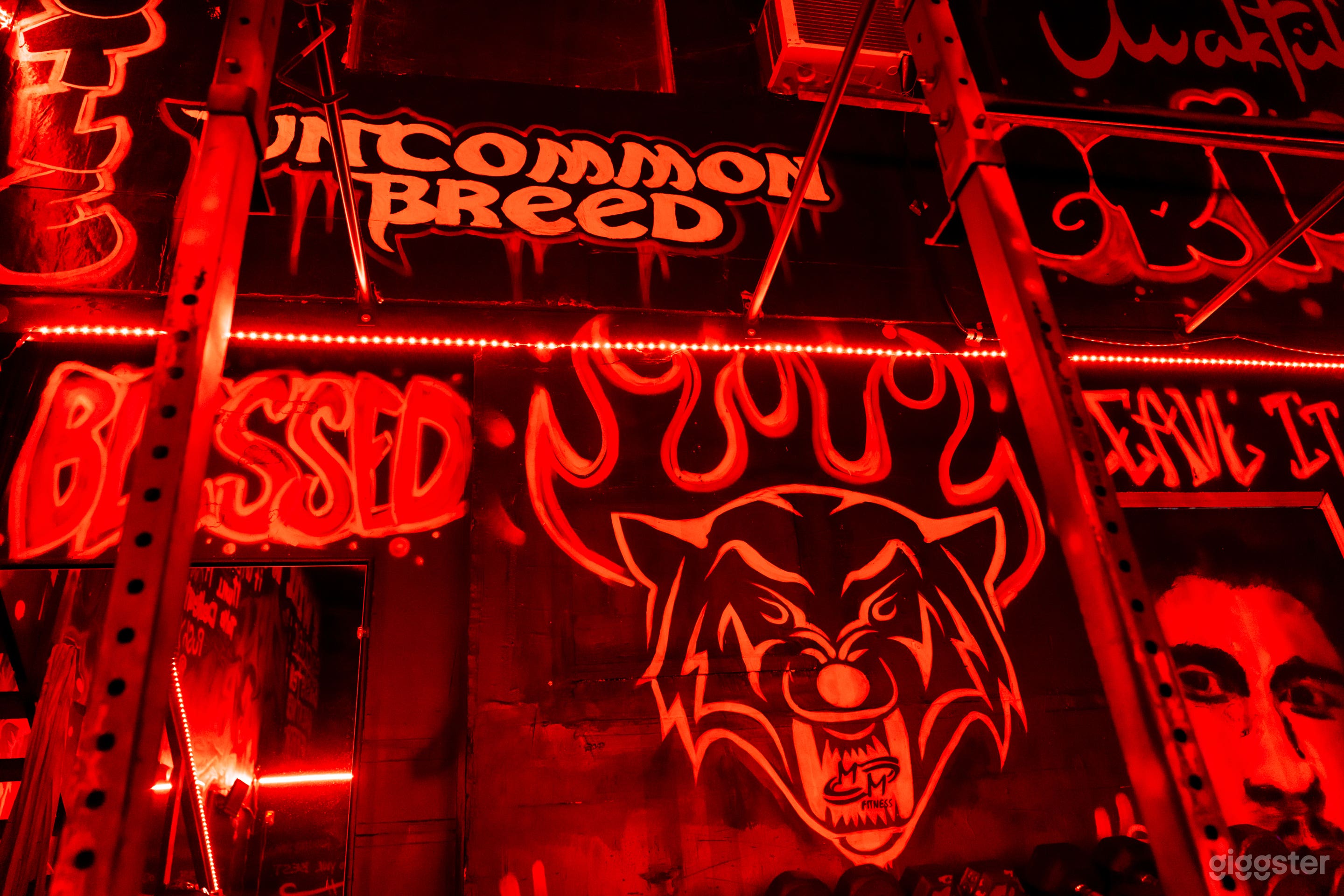 Industrial, Urban, graffiti, rustic, music videos, Photo 2