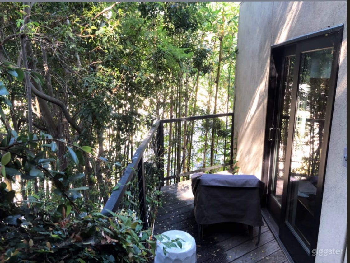 Hollywood Hills Architectural Home Photo 3