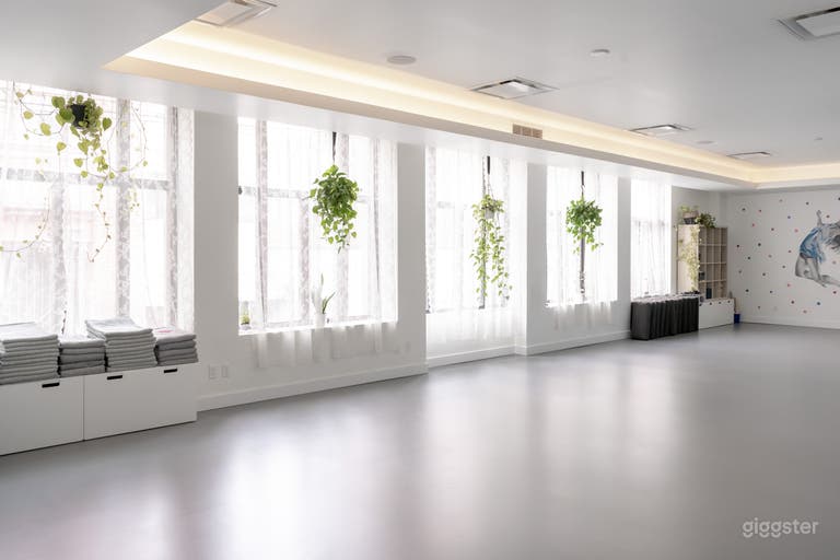  Bright And Welcoming Studio Space 