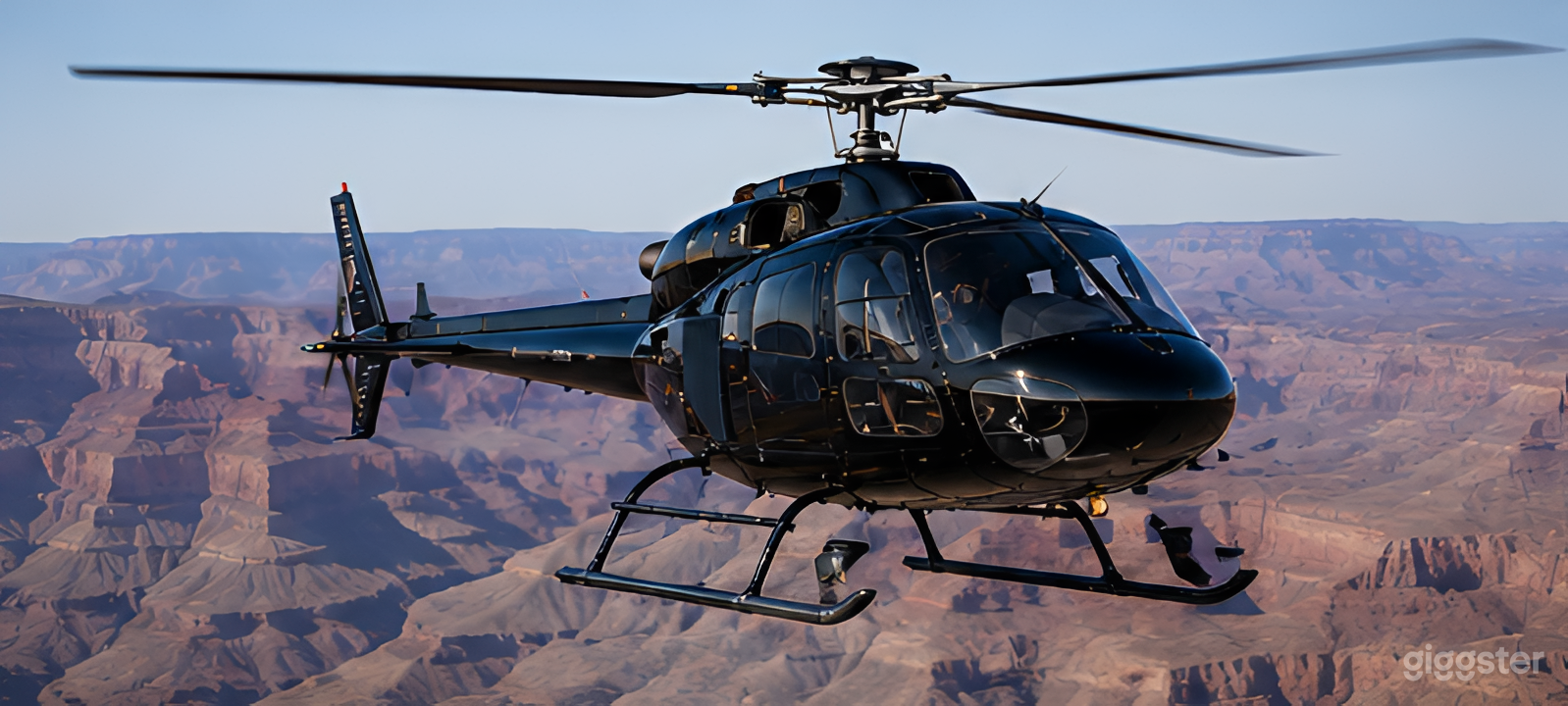 Private Helicopter Charter Experience Photo 3