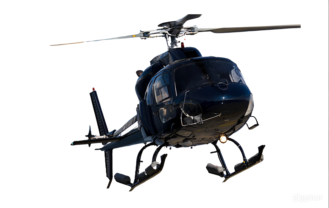 Private Helicopter Charter Experience Photo 2