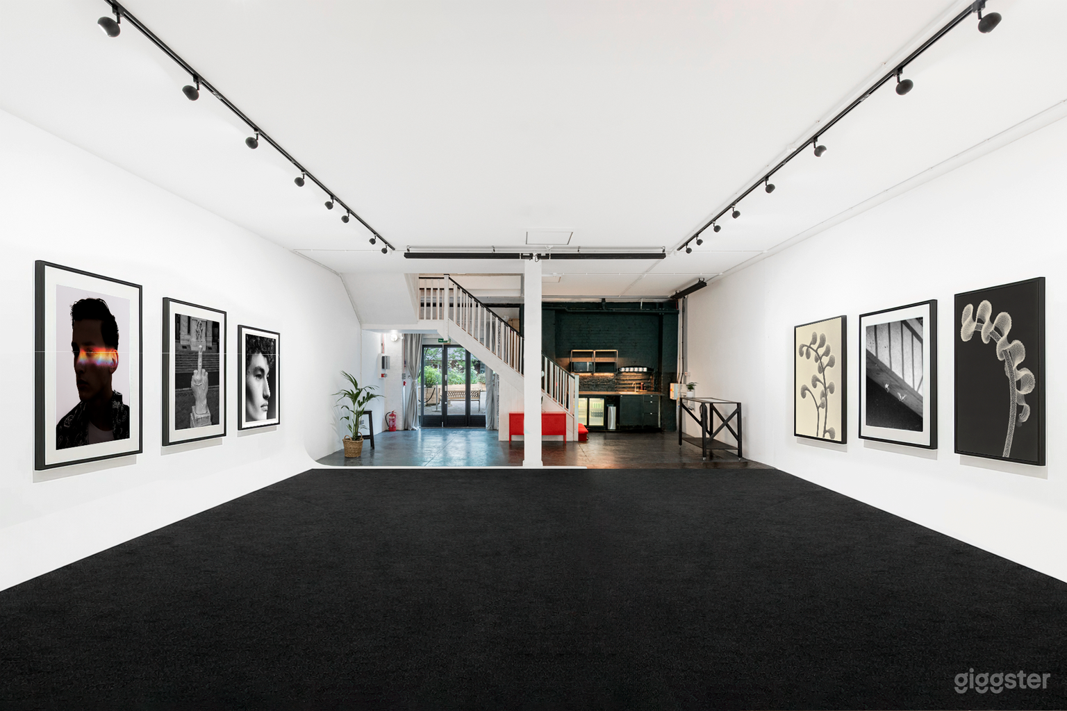 Daylight Studio, Showroom, Cove and blackout  Photo 3