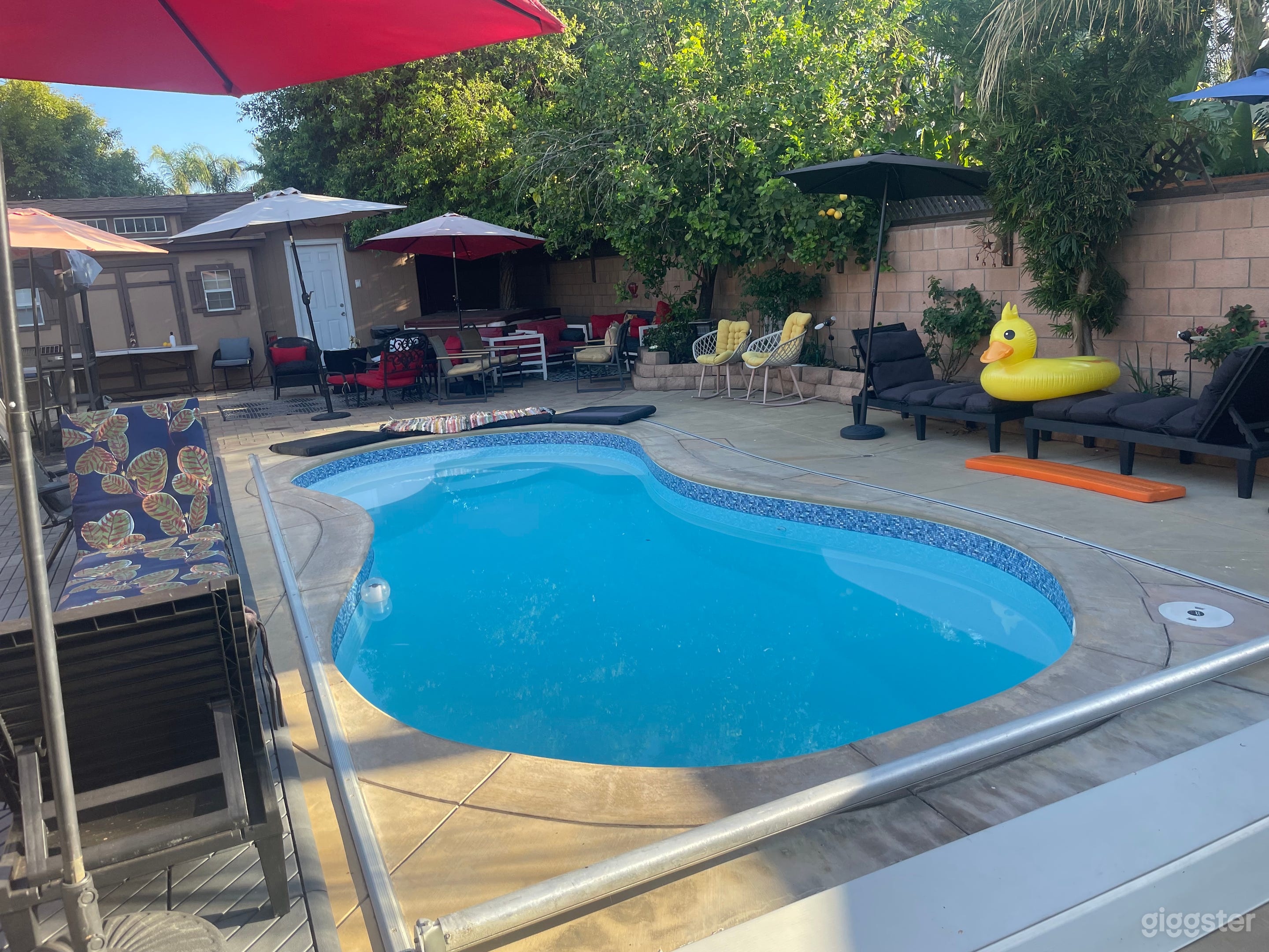 Private Pool Oasis | Events • Productions • Parties Photo 3
