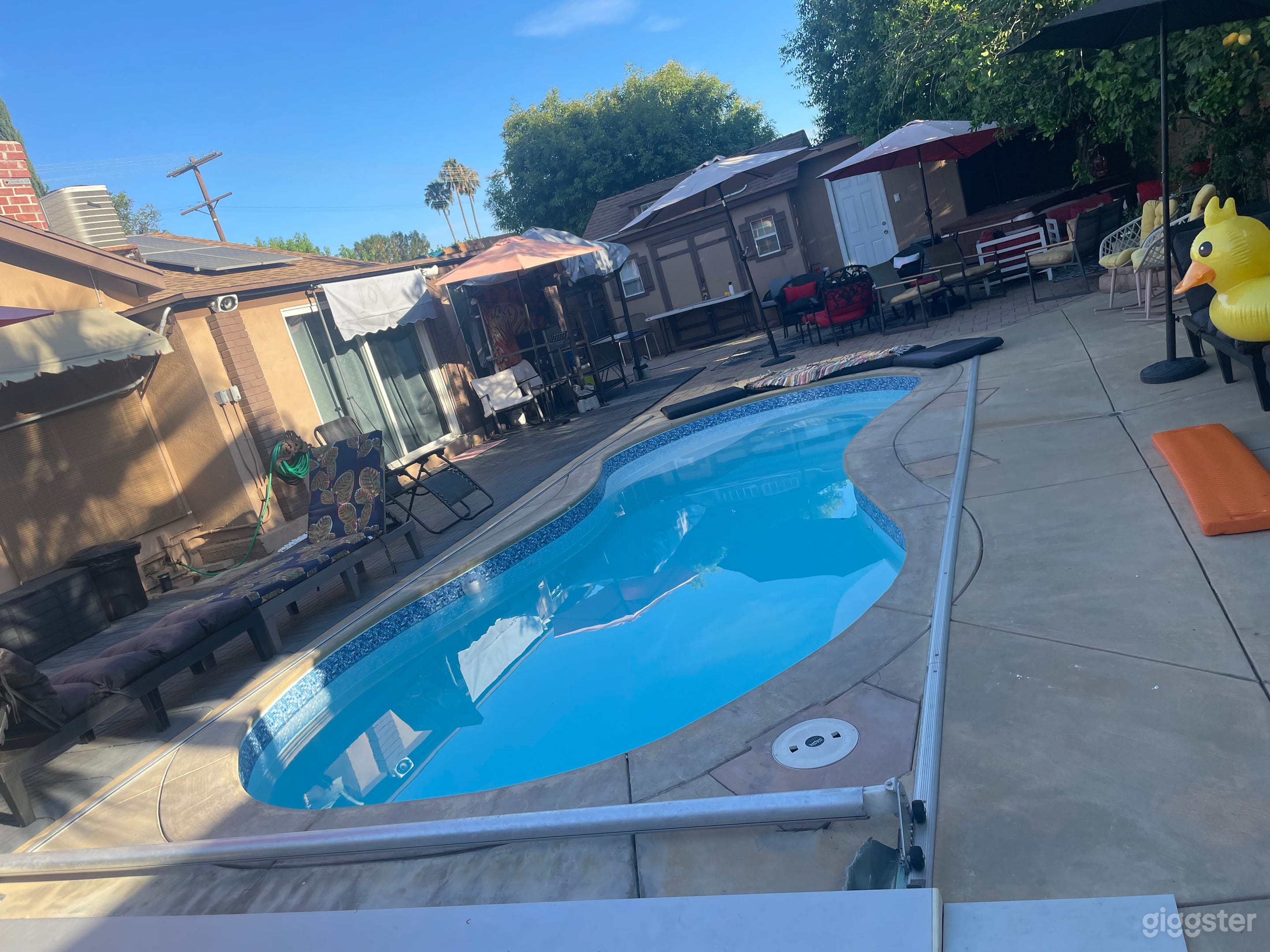 Private Pool Oasis | Events • Productions • Parties Photo 2
