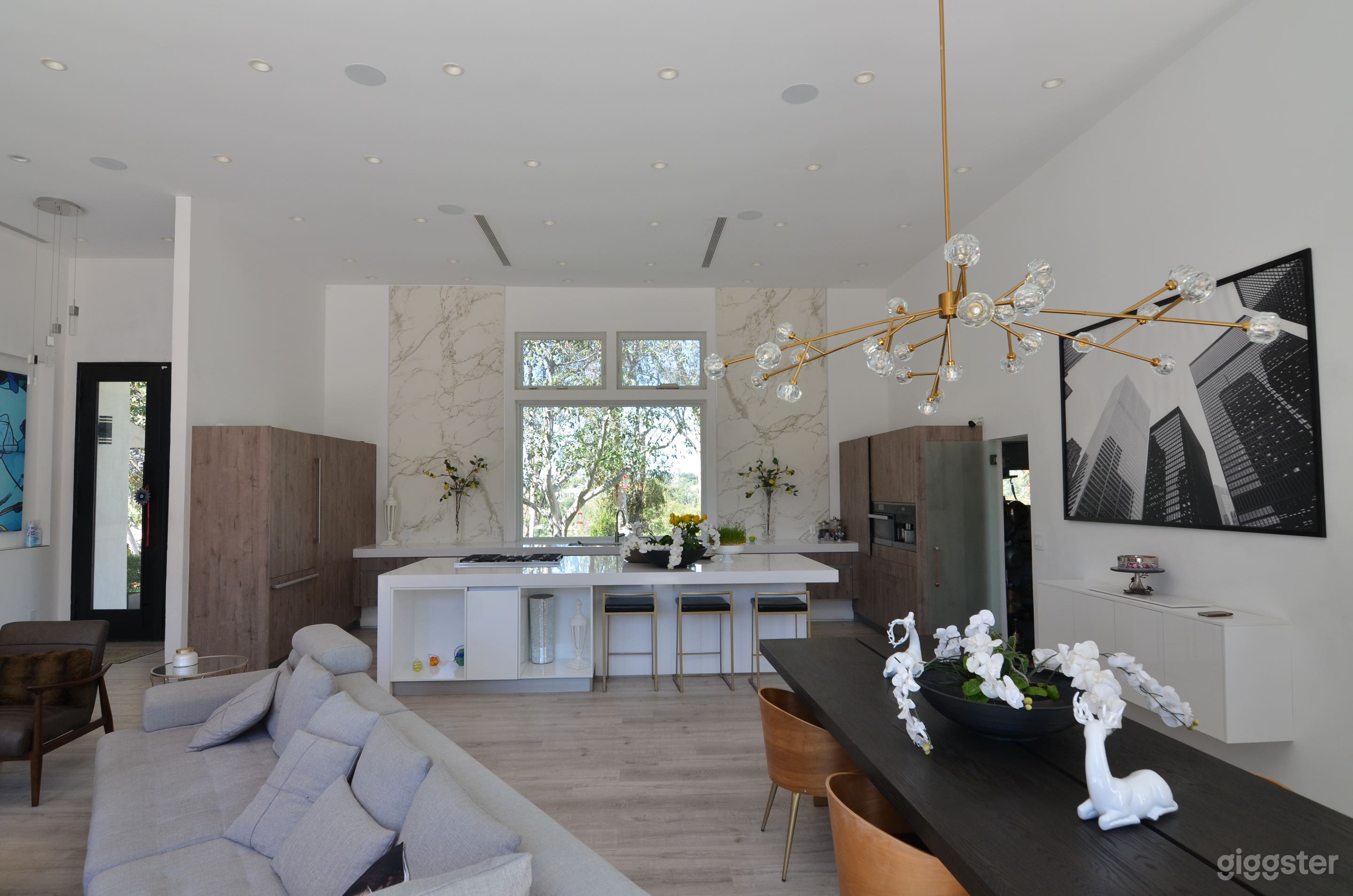 Mid-Century Modern-High Ceiling. Bright Sunny-Vertical ready Photo 3