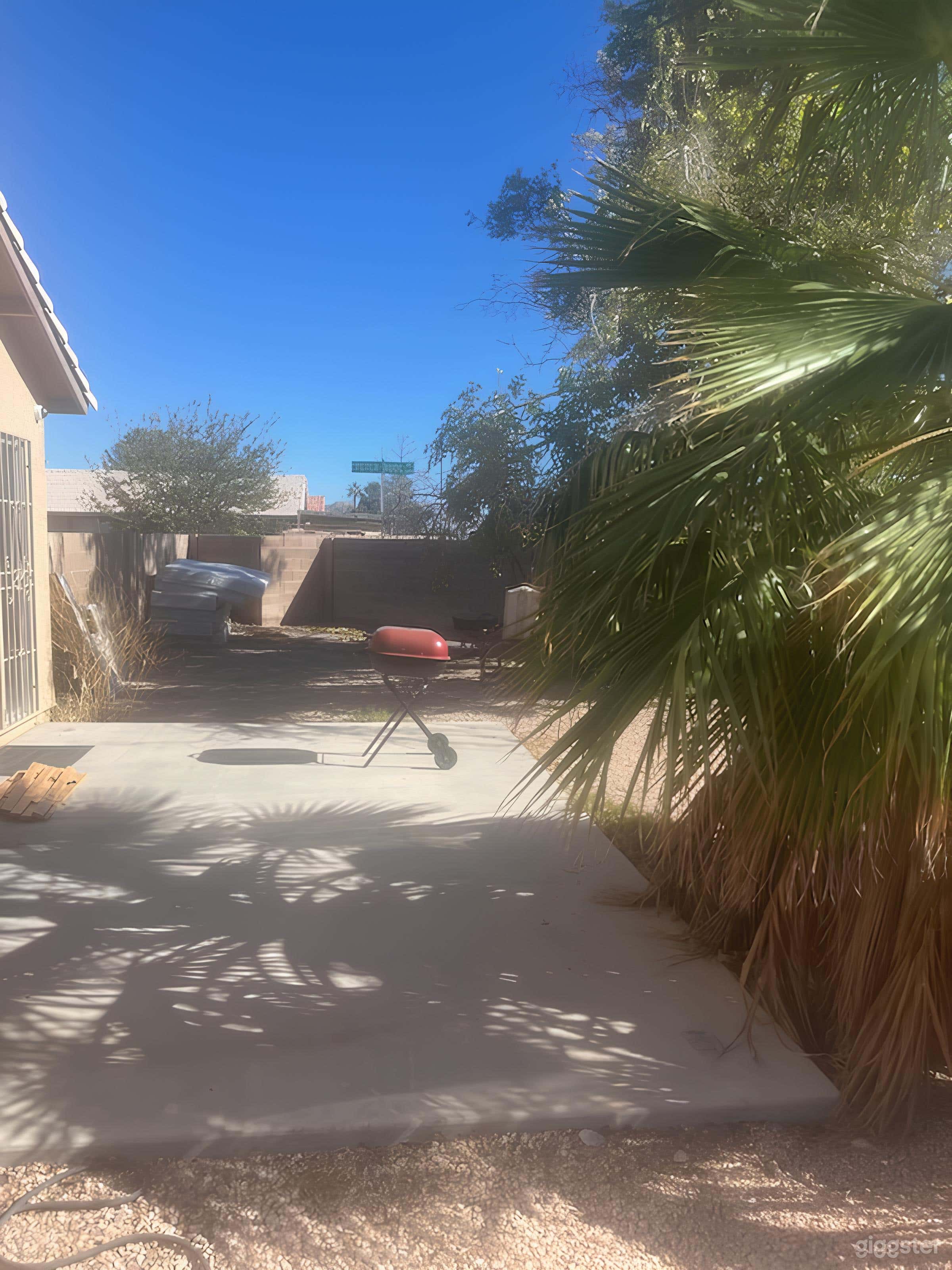 Gallery Detail: Desert Chic Backyard With Palm Tree Rent This Location On