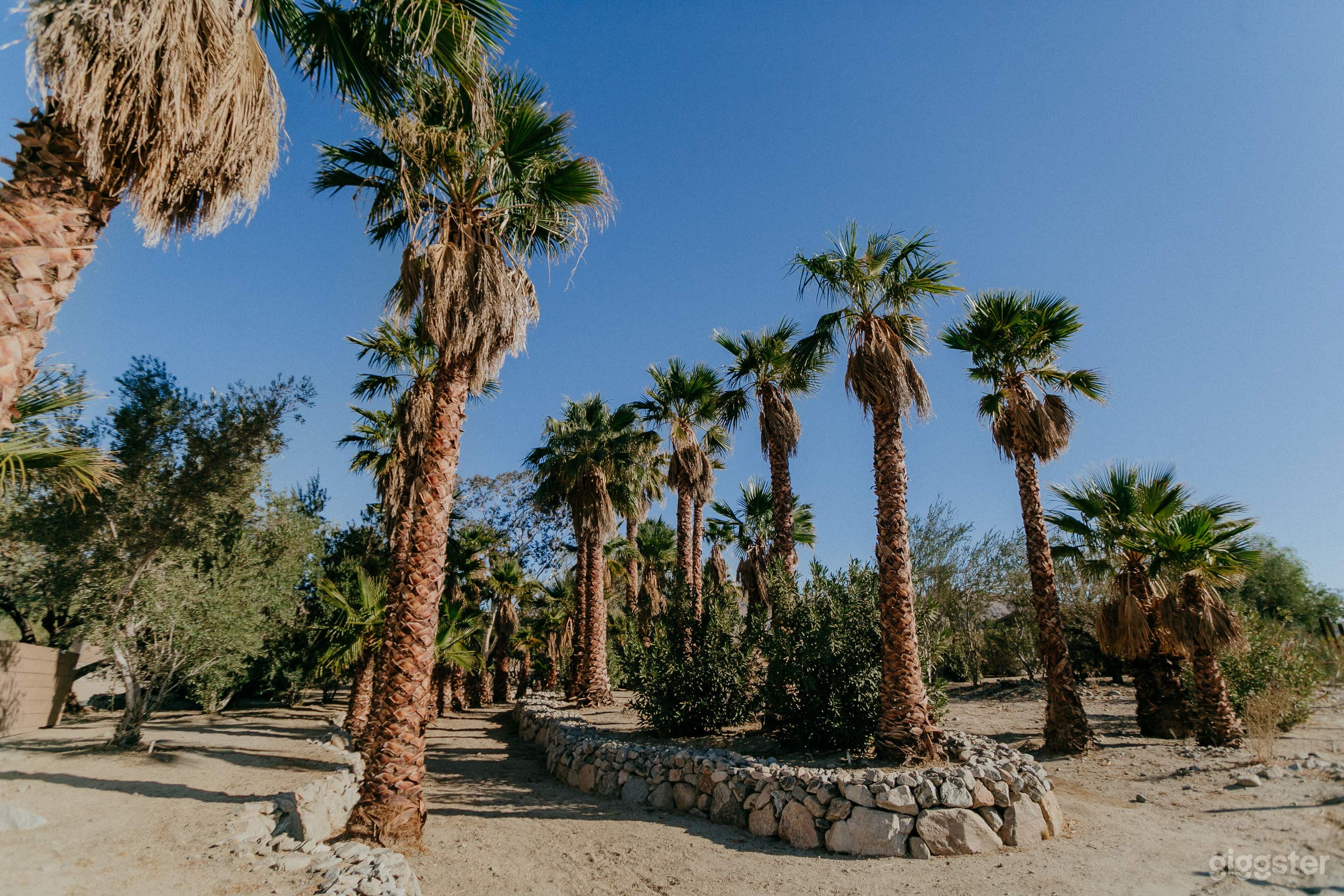 Barn Desert Oasis Photo 4