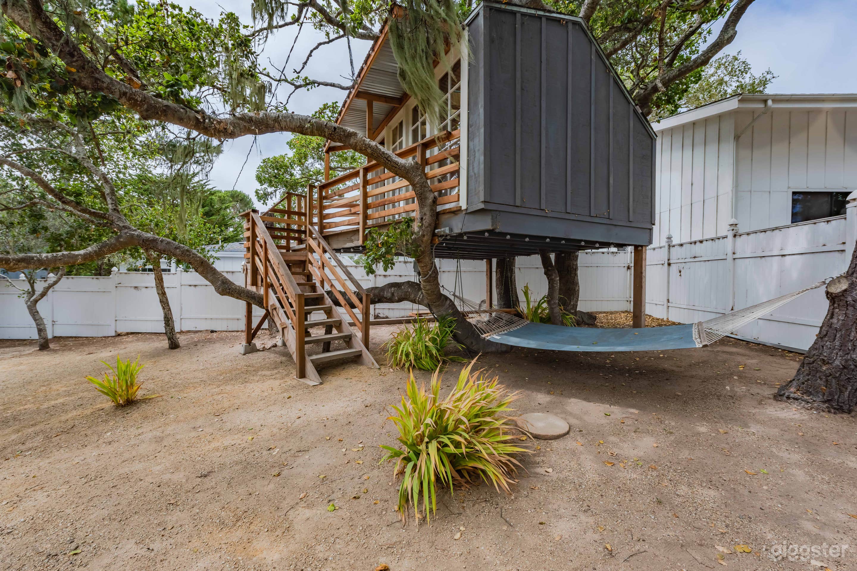 Newton's Treehouse Photo 2