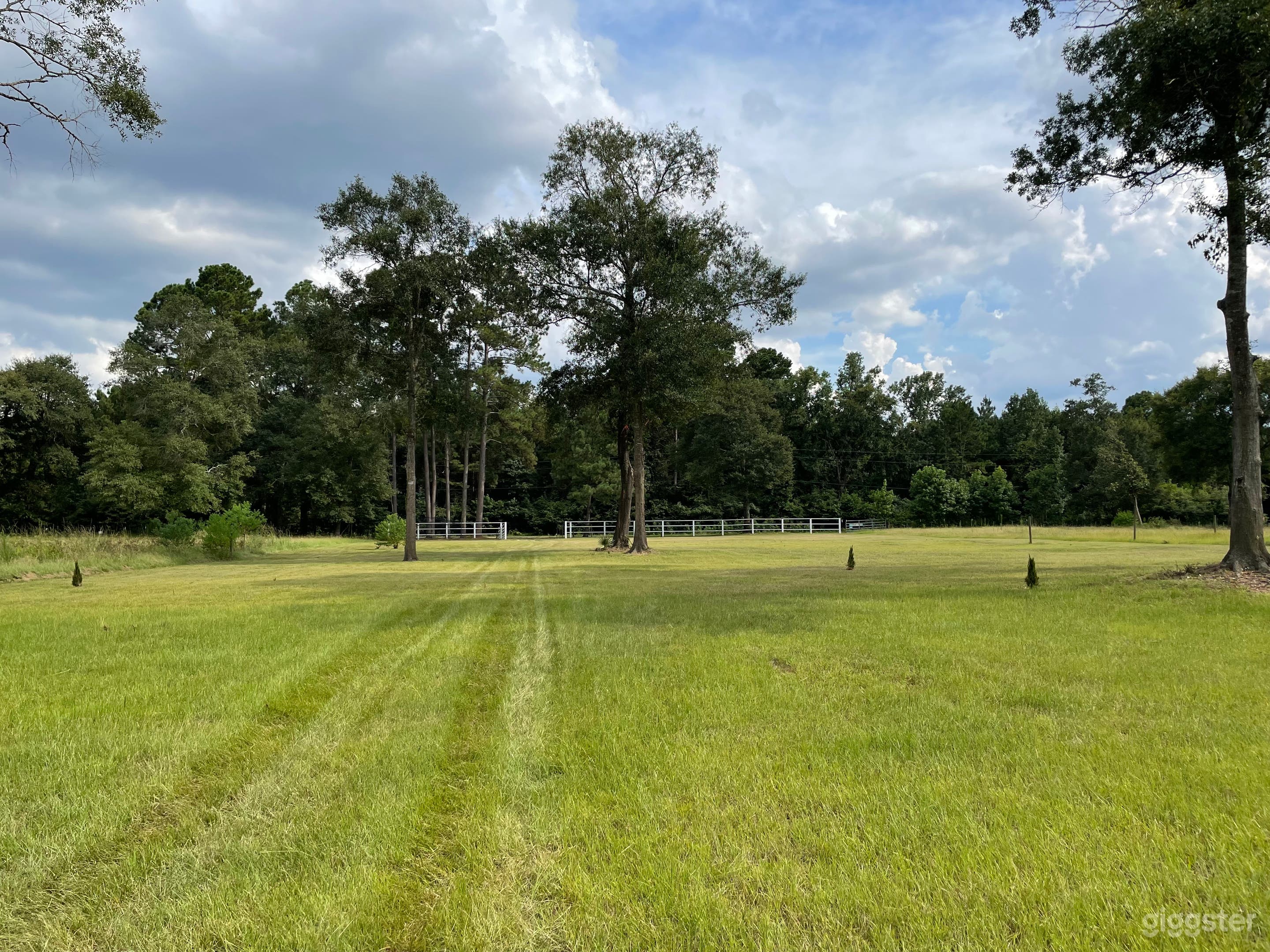 2 Acre Ranch with a 1600 sqft Pavilion & Pool Photo 3