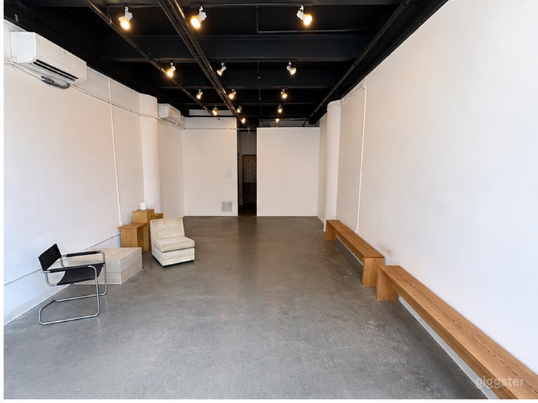  Bright Modern Gallery with Natural Light 