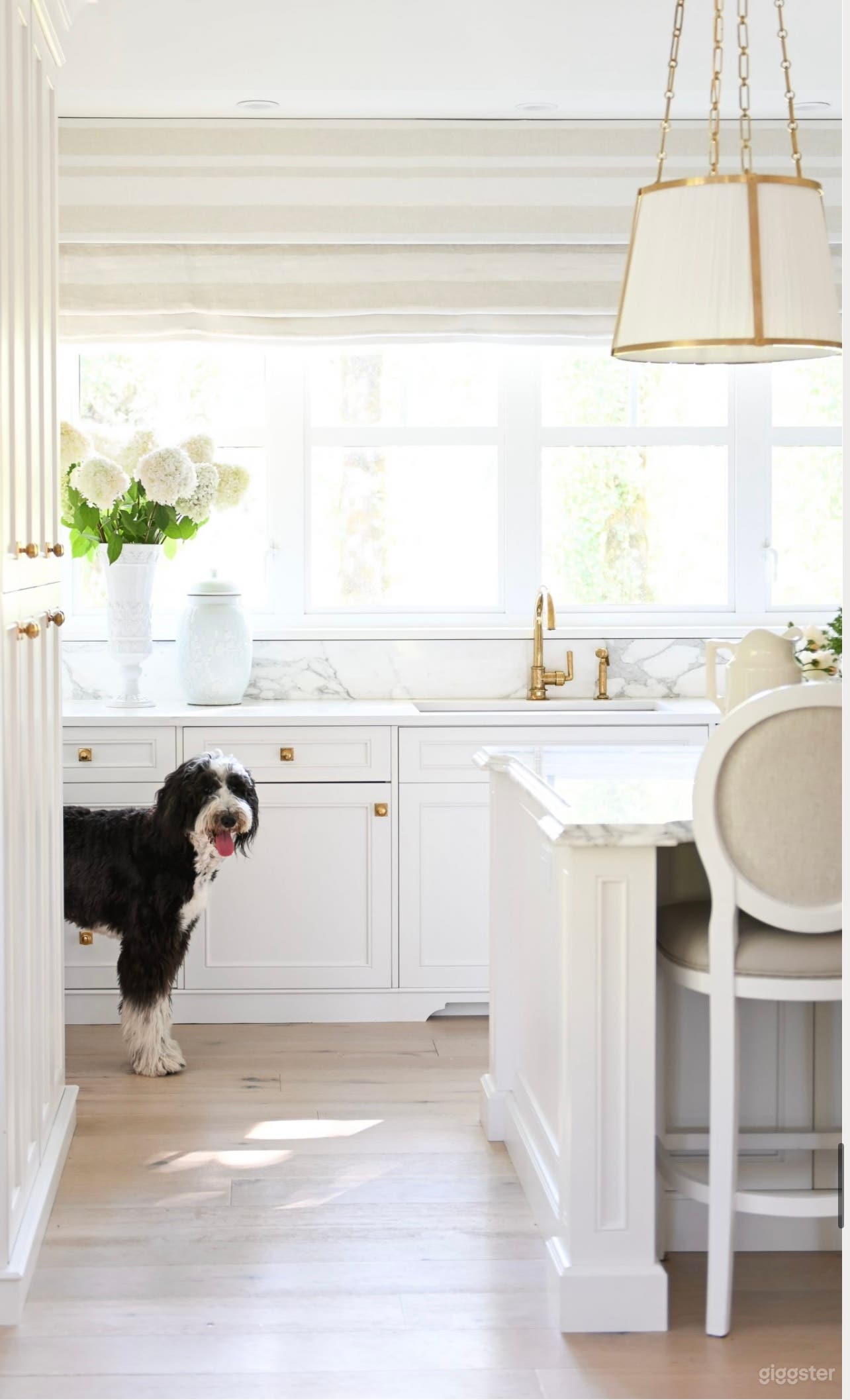 Ponder Park Home  Photo 3