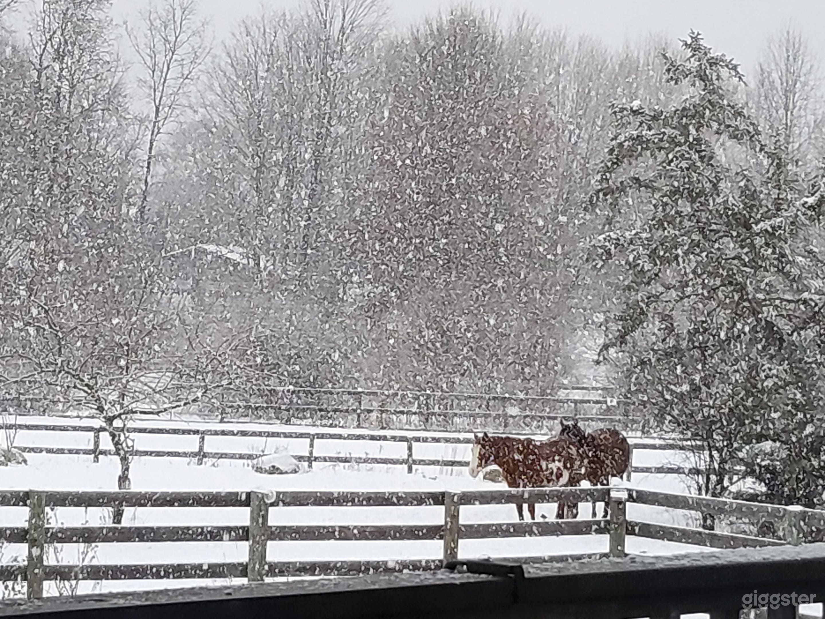 Horse Farm, Unique House near NYC Photo 3