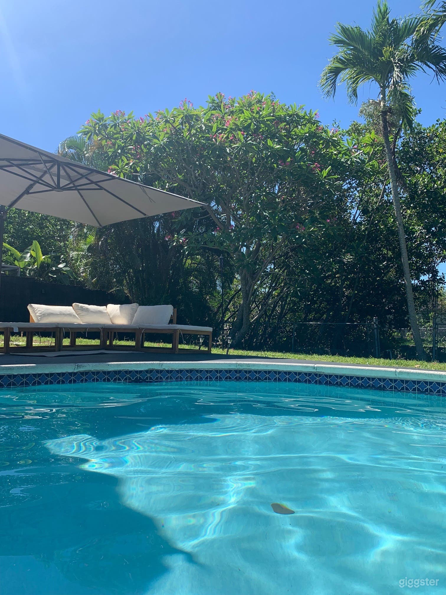 Modern House on the canal Photo 4