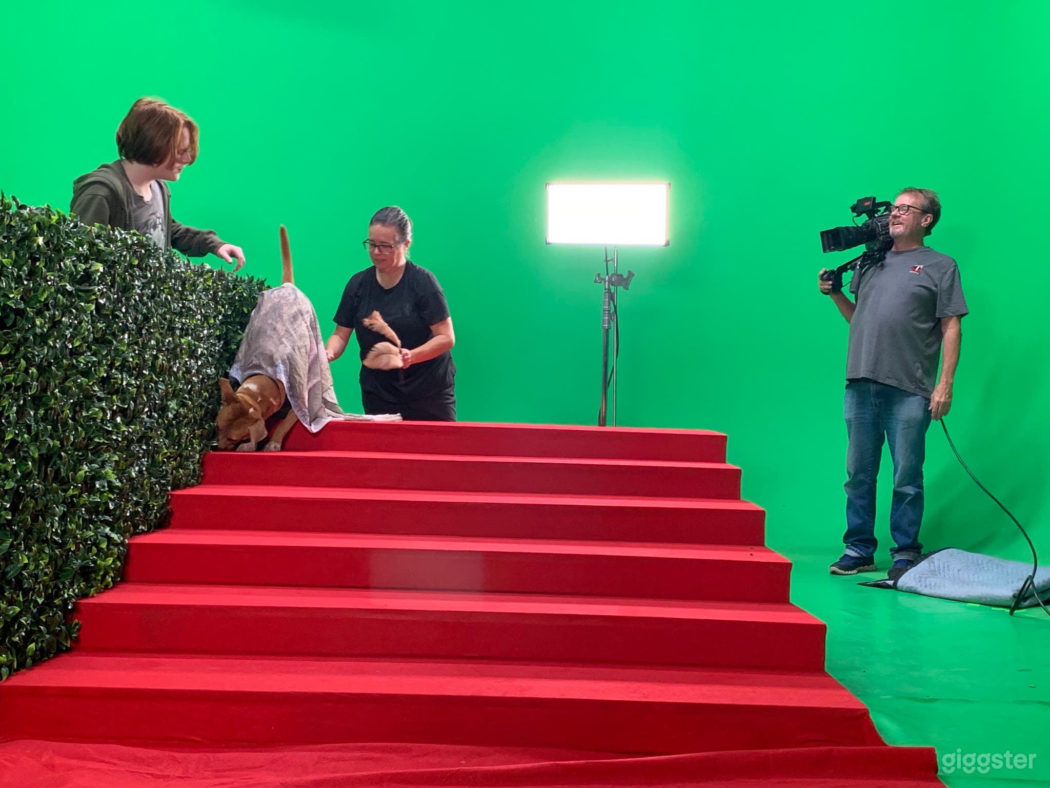 Production Studio 3 wall Cyclorama Photo 3