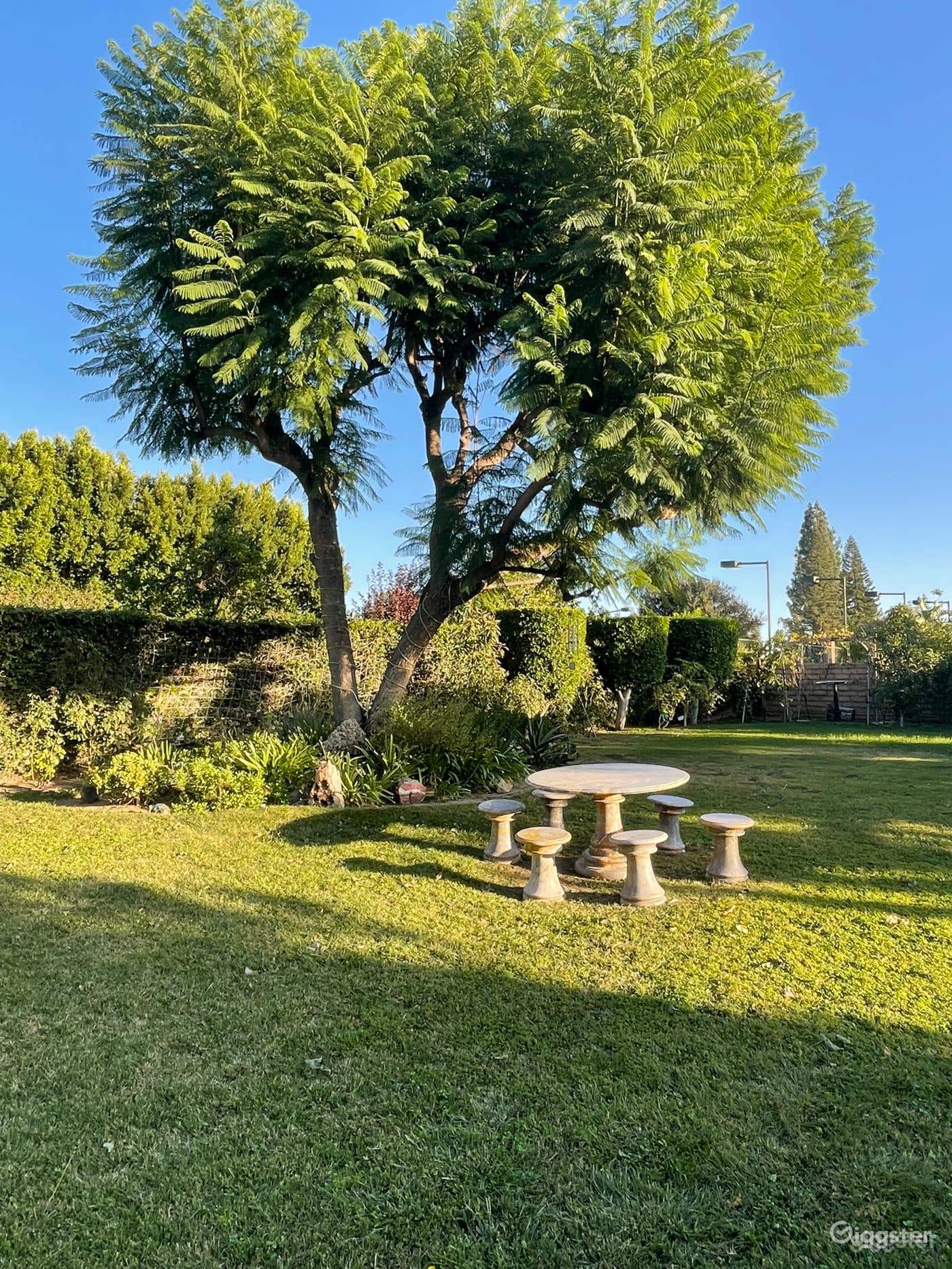 YARD ONLY RENTAL  Photo 4