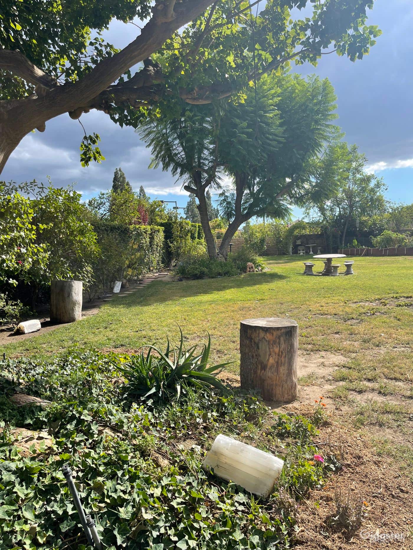 YARD ONLY RENTAL  Photo 3