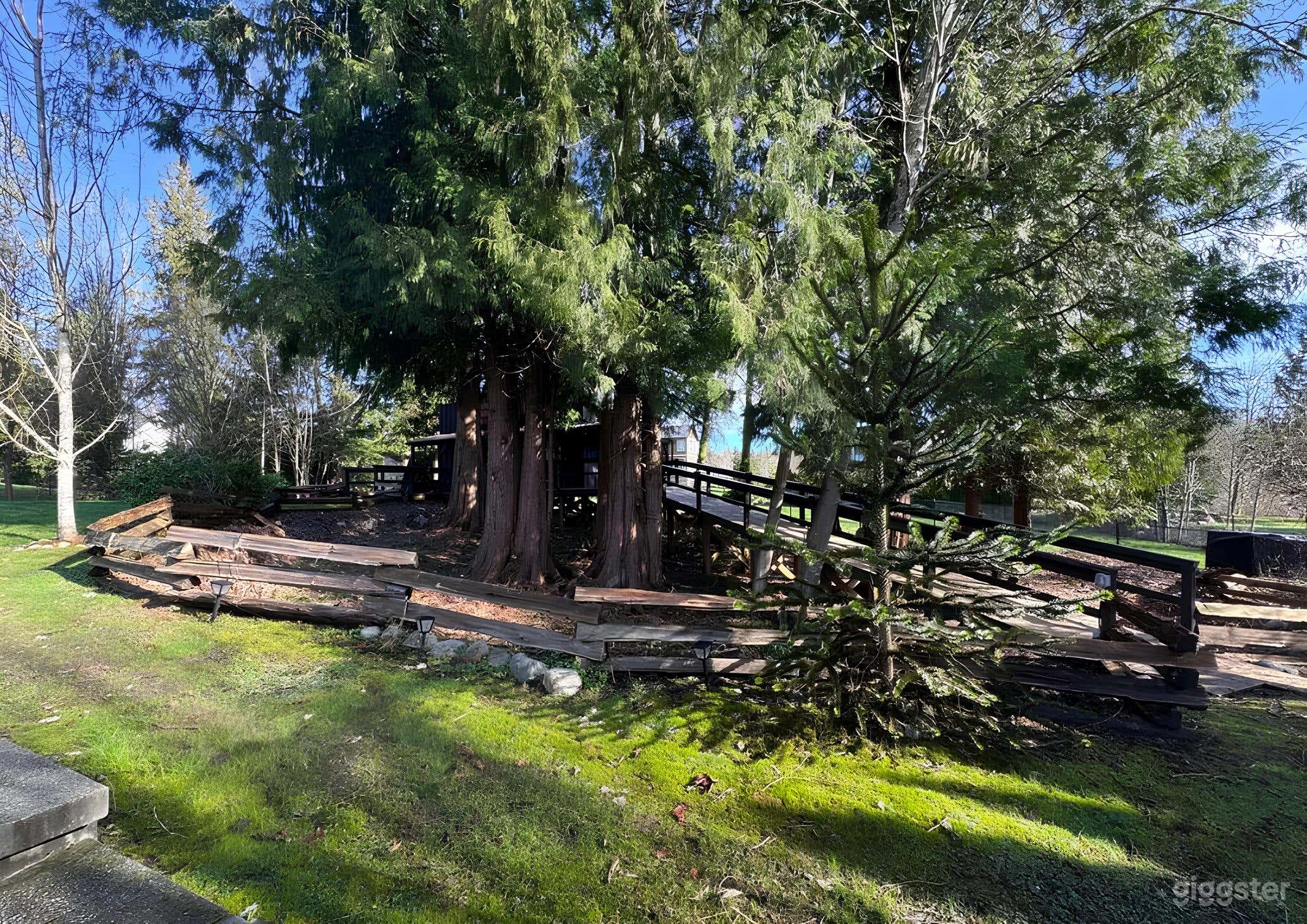 Serene Backyard for Events, Filming, & Photoshoots Photo 4