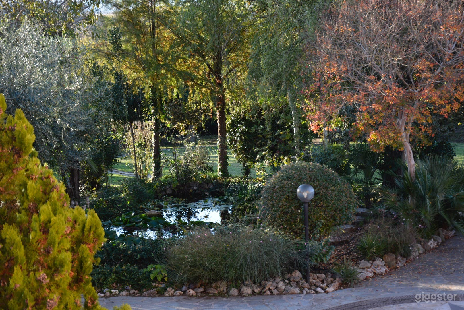 Foto di Villa Panoramica con Piscina per Film, Spot Pubblicitari ed Eventi 4