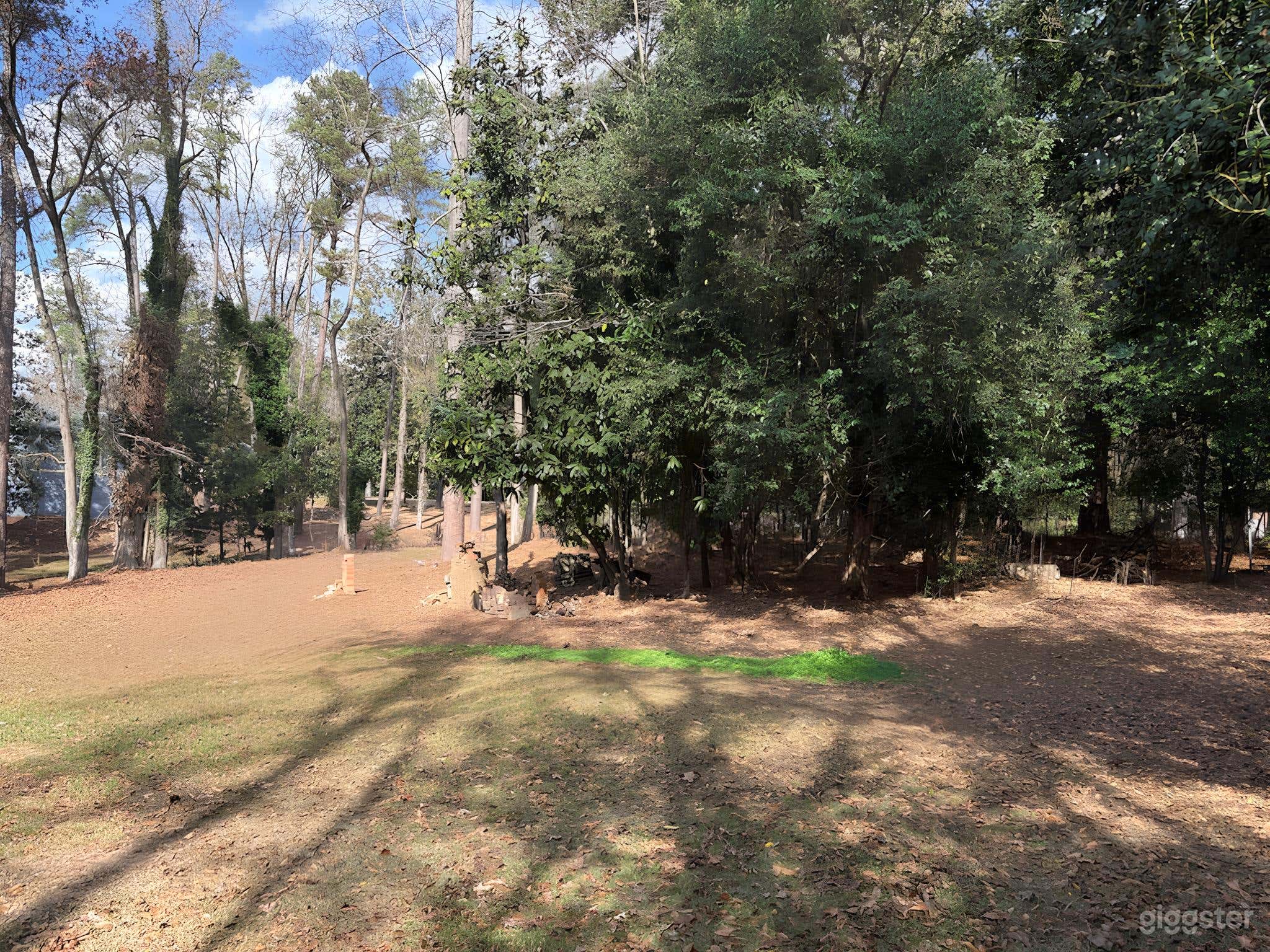 Expansive Wooded Backyard Photo 2