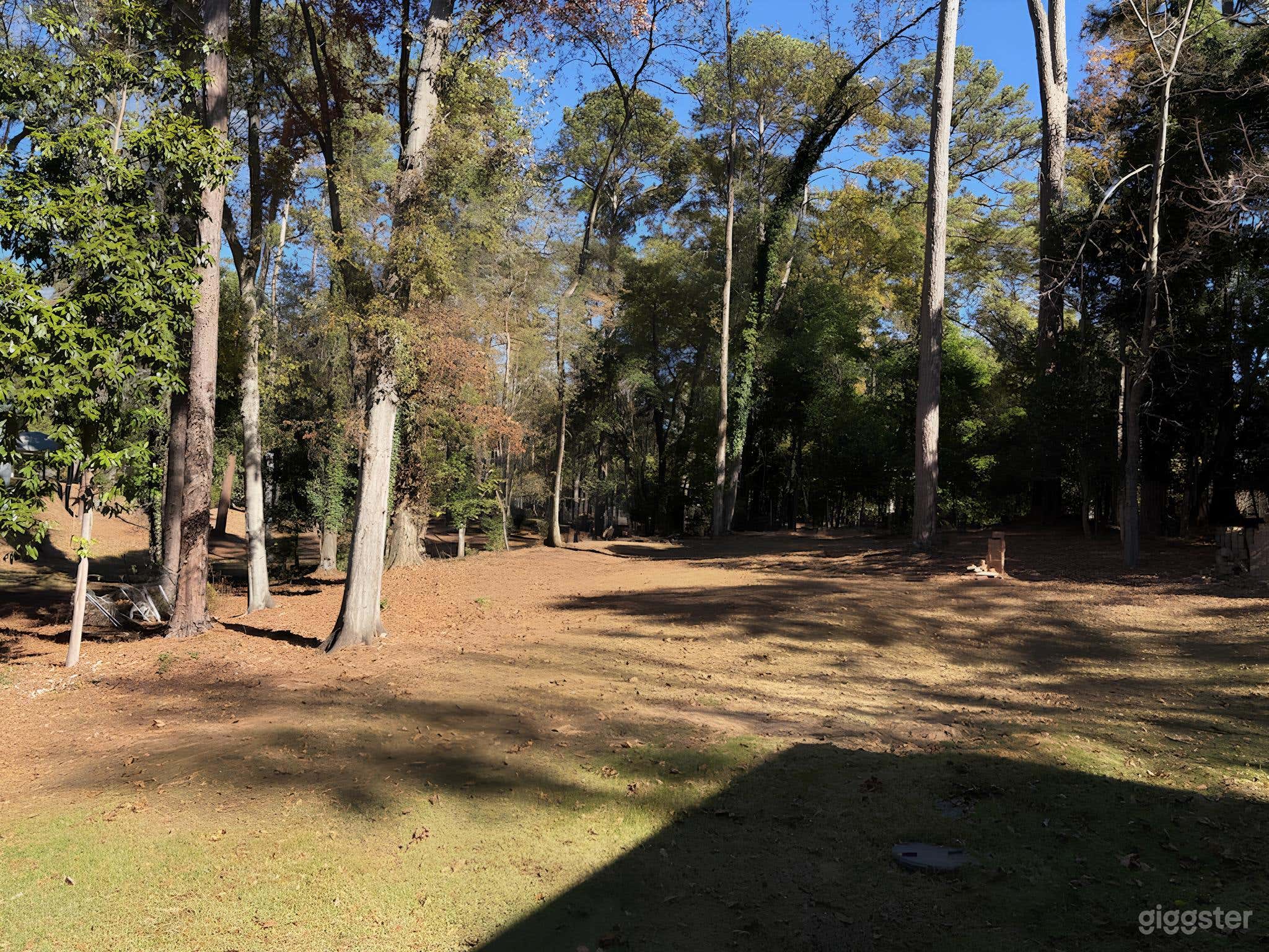 Expansive Wooded Backyard Photo 4