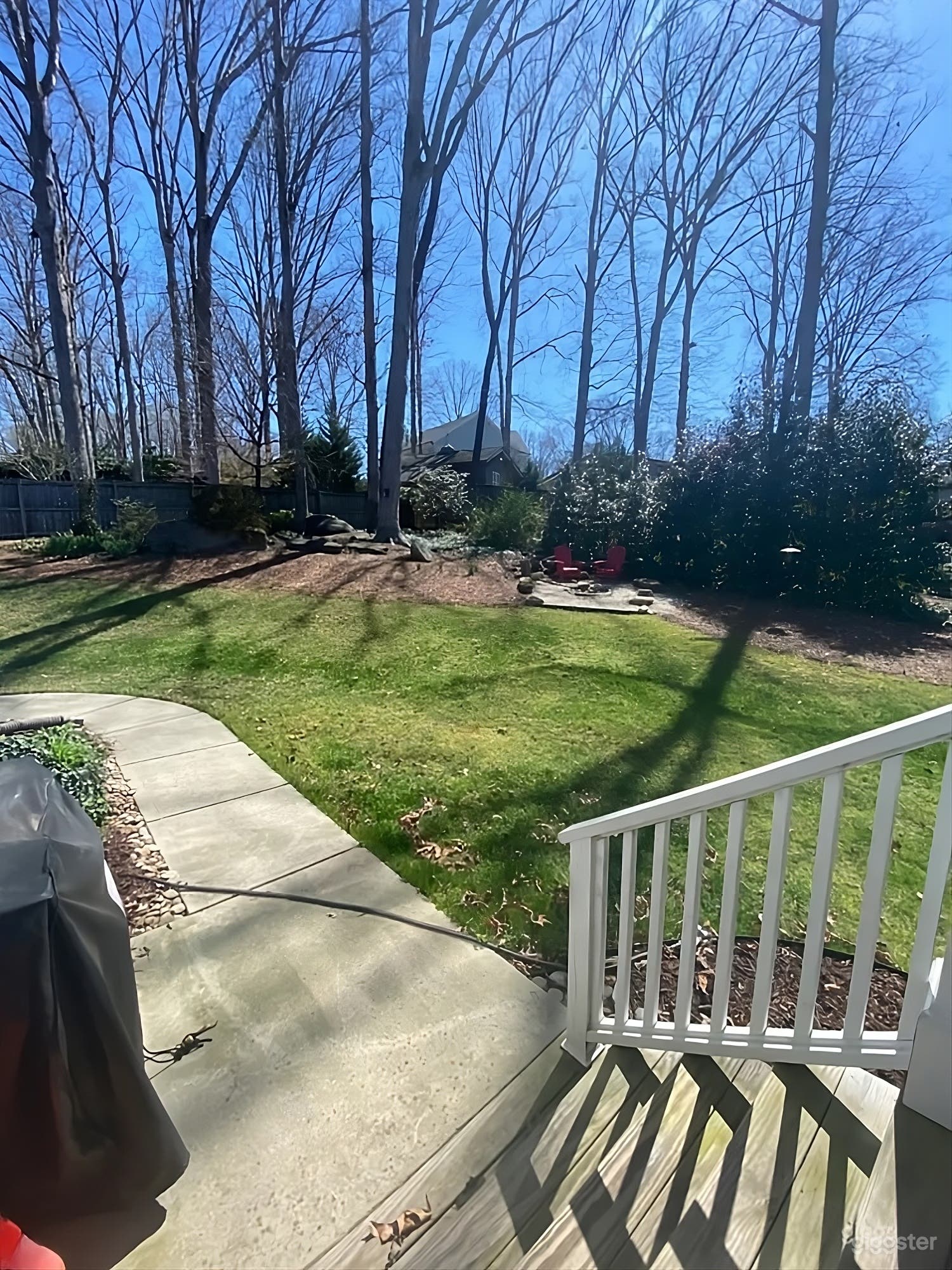 Charming Blue Home Backyard Photo 3