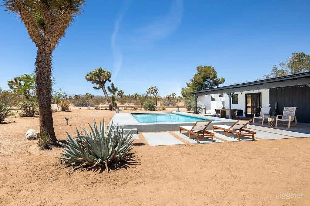 Joshua Tree Desert Pool Retreat Photo 1