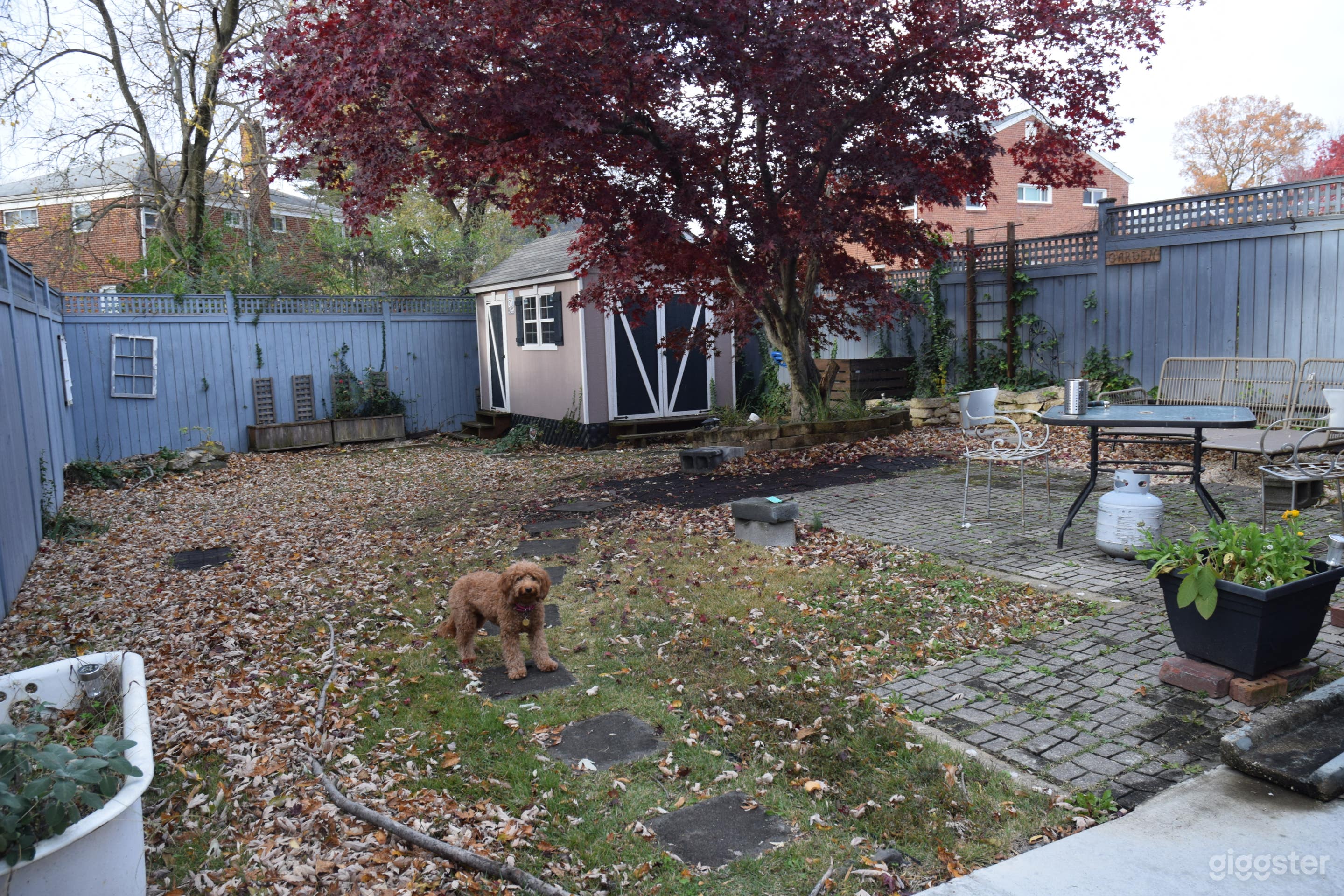 Cozy and Versatile Backyard Space Photo 2