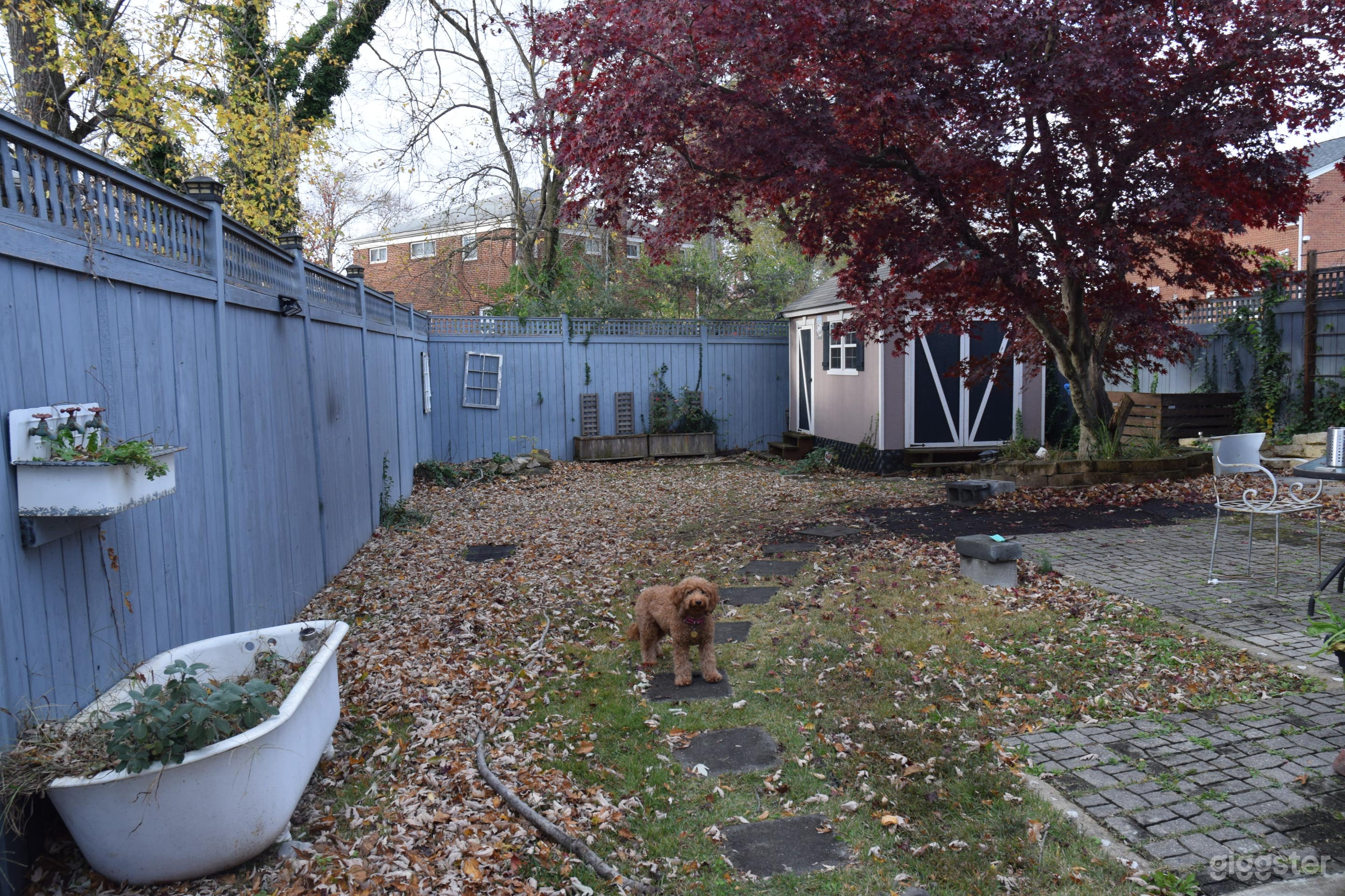 Cozy and Versatile Backyard Space Photo 3
