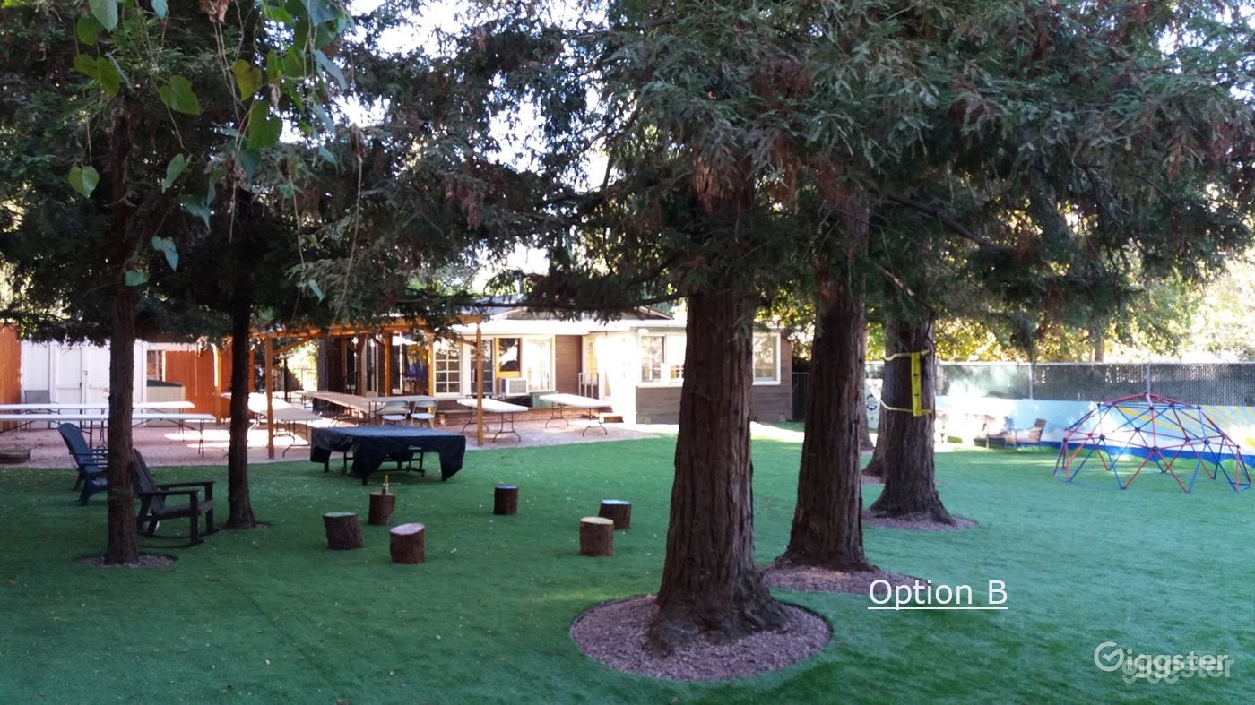 Back garden provides space for relaxation.