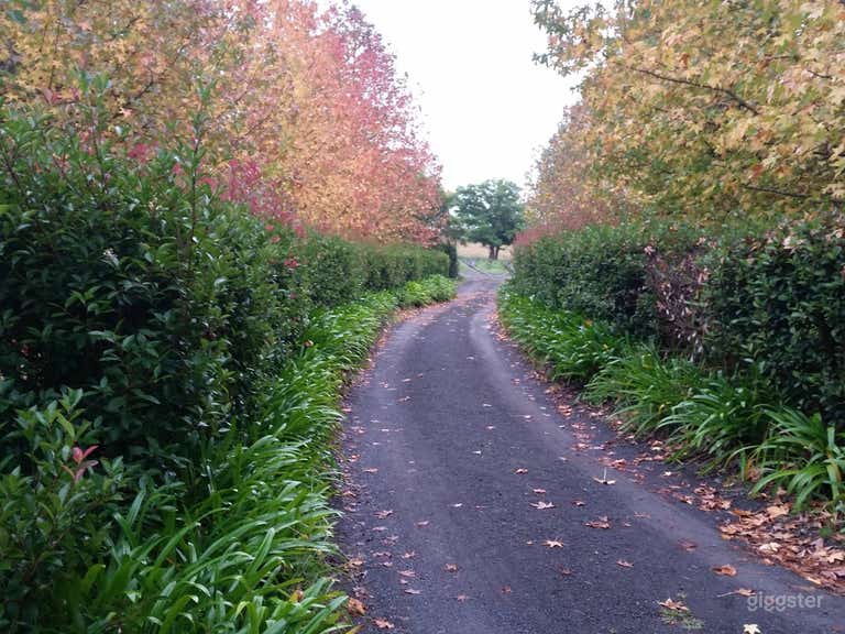  Drive way entrance during autumn 