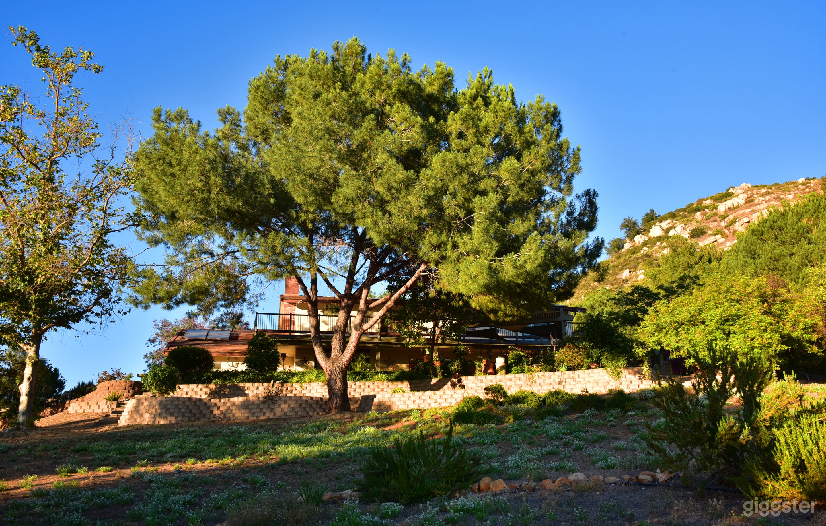 Back yard looking at house.