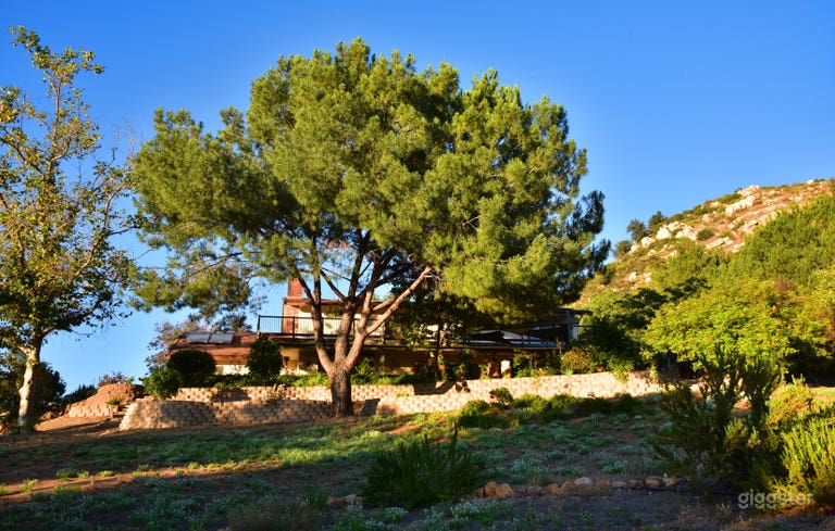  Arrière-cour avec vue sur la maison. 
