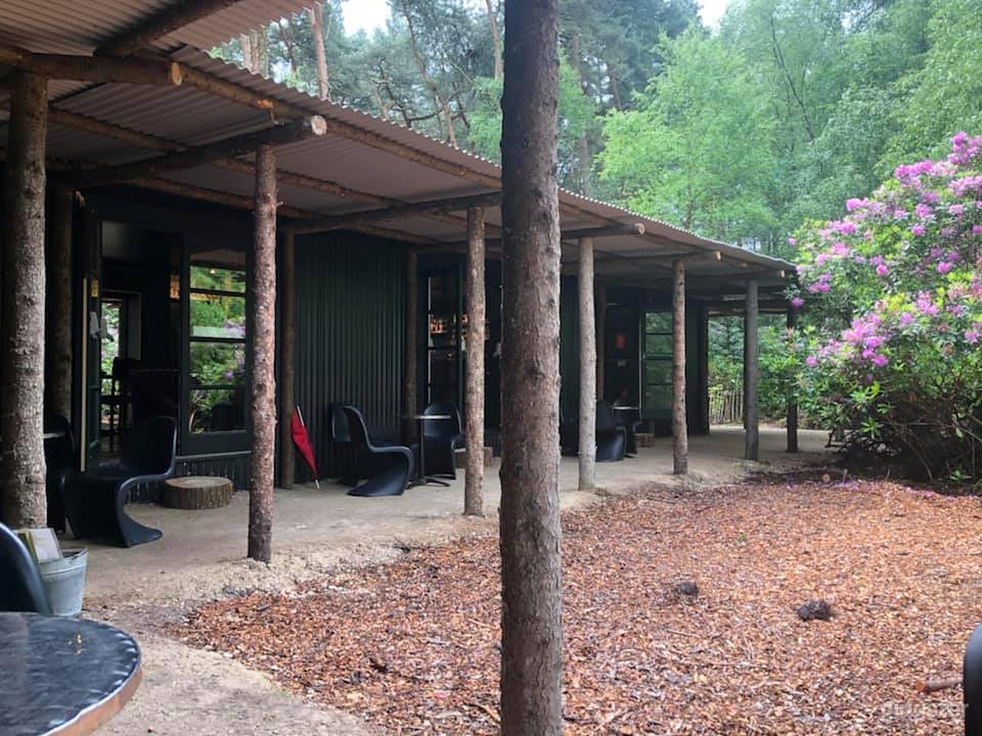 Woodland Kitchen and Bar Photo 4