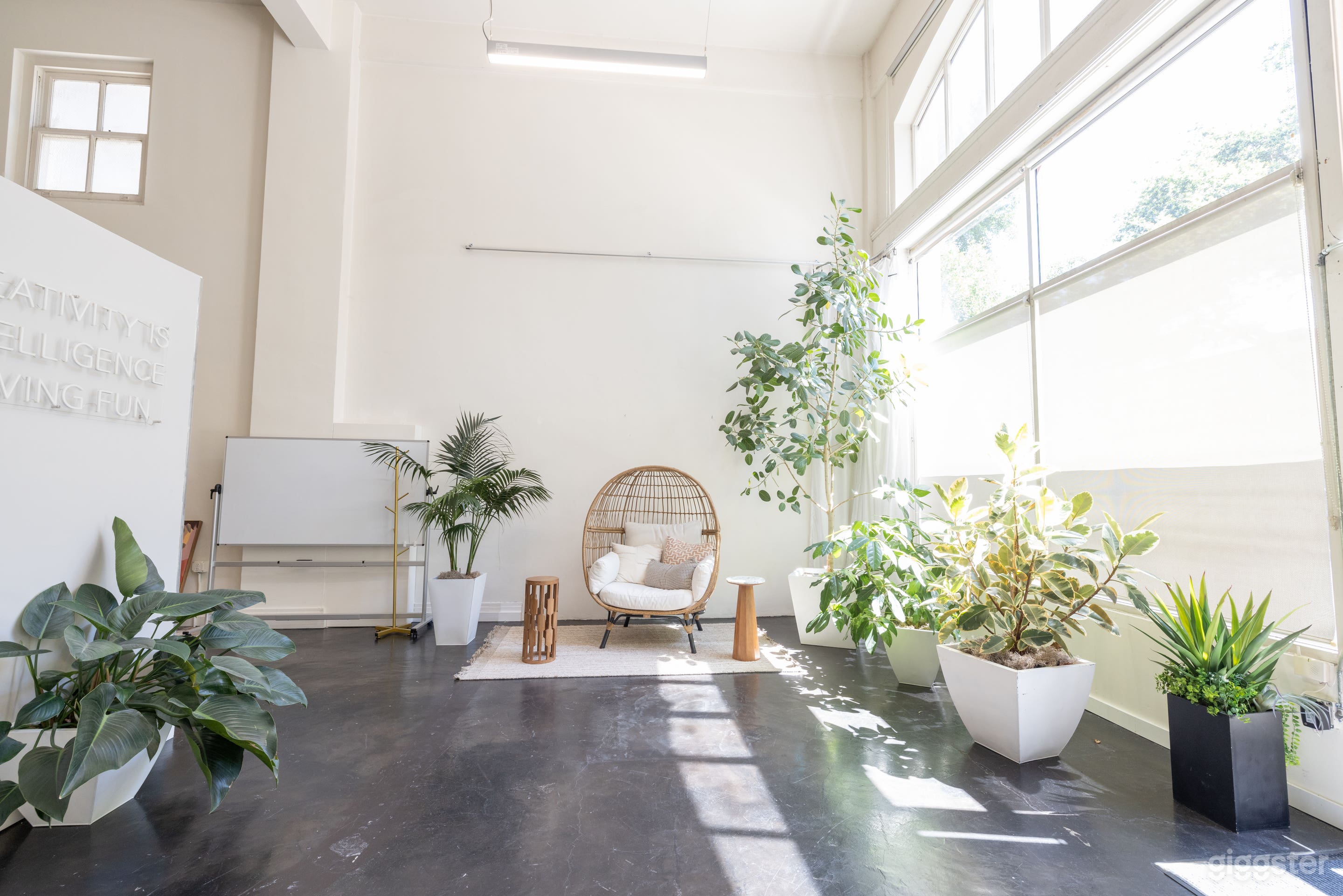Natural Light Studio Photo 3