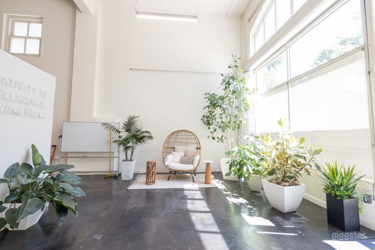  Natural Light Studio 
