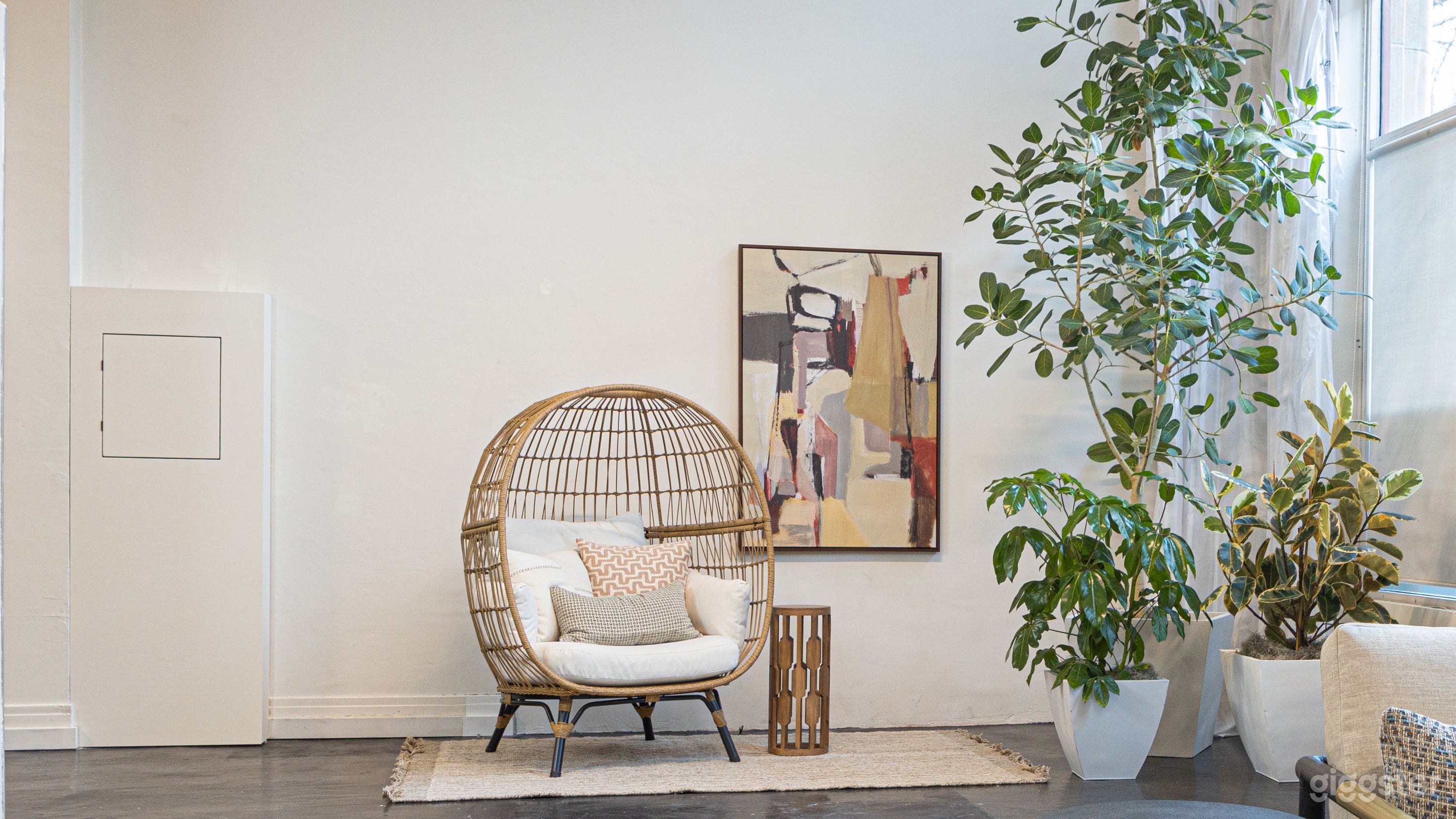 Natural Light Studio Photo 1