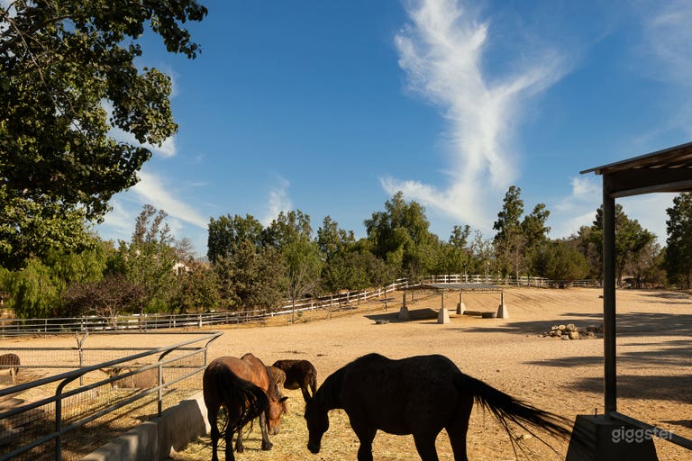  Ranch with Horse Facilities, Cows, Orchard, Forest, and More 