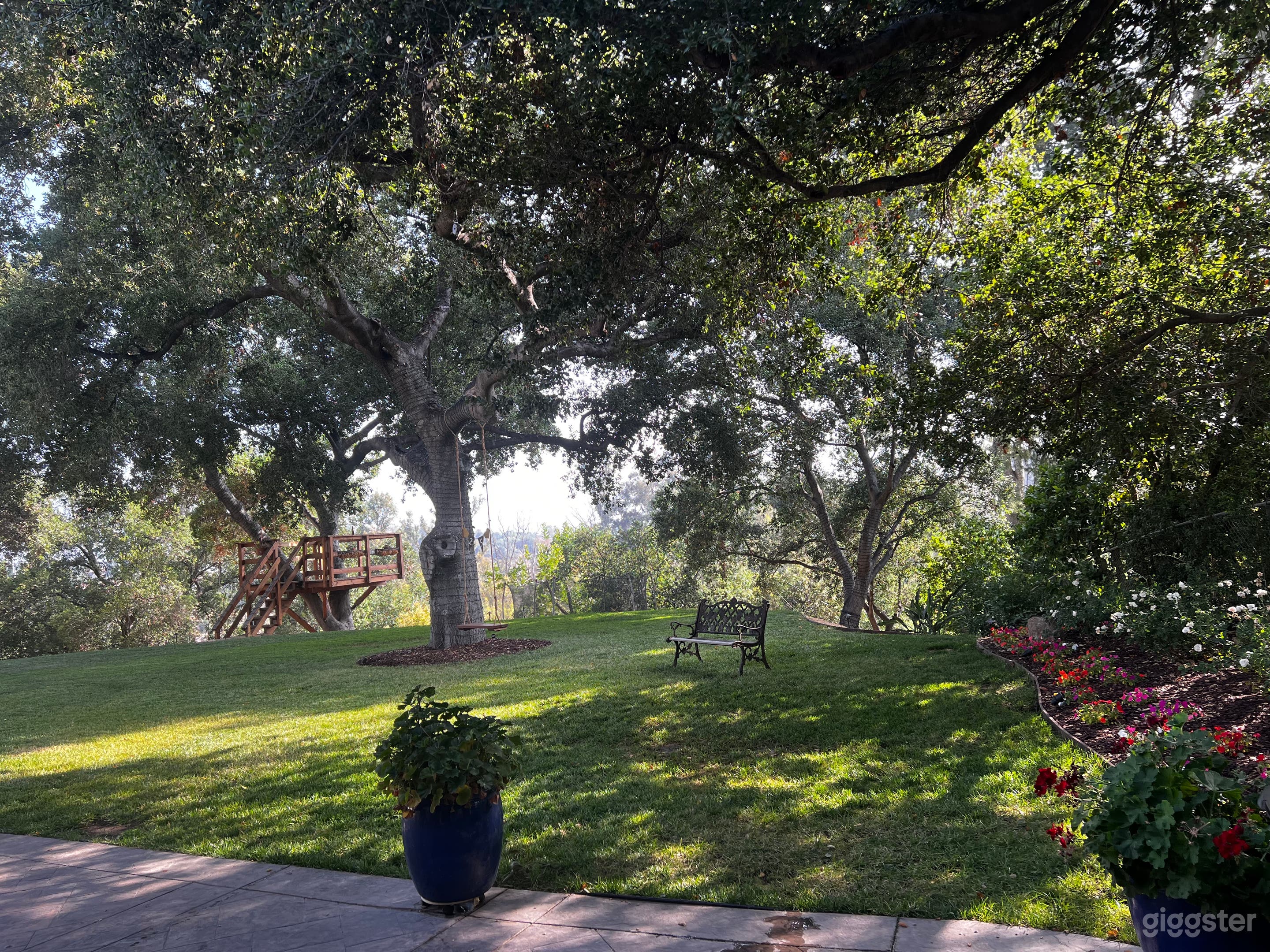 Ranch style home, large, beautiful backyard. Photo 1