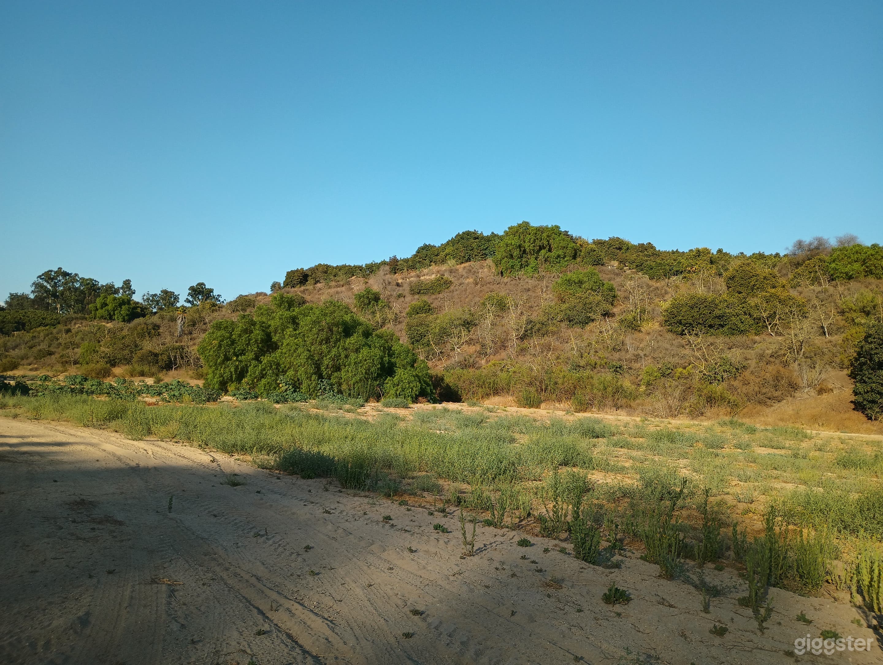 Mid flats looking East