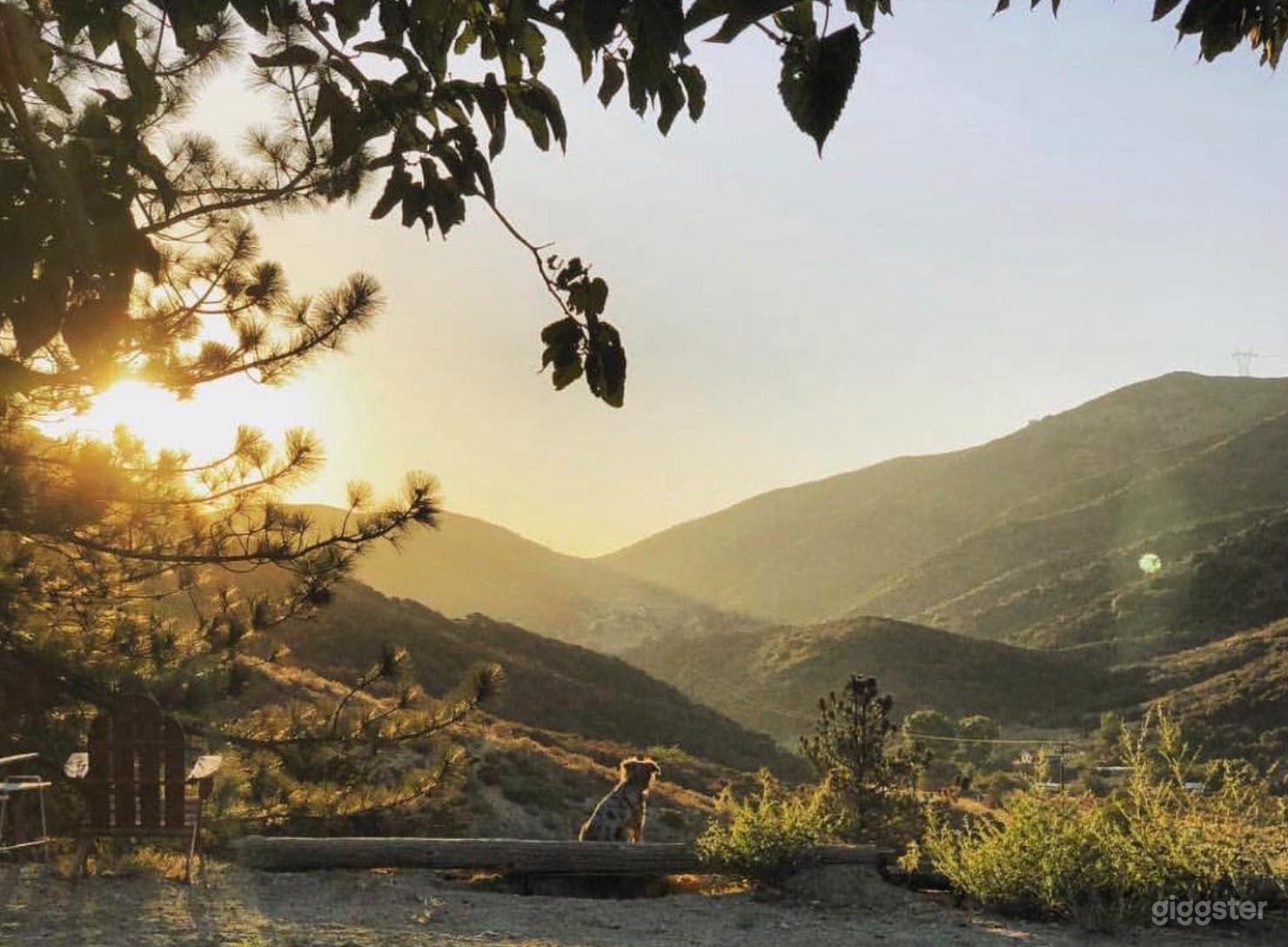 Expansive Mountain/Forest/Woods/Desert Backdrops Photo 1