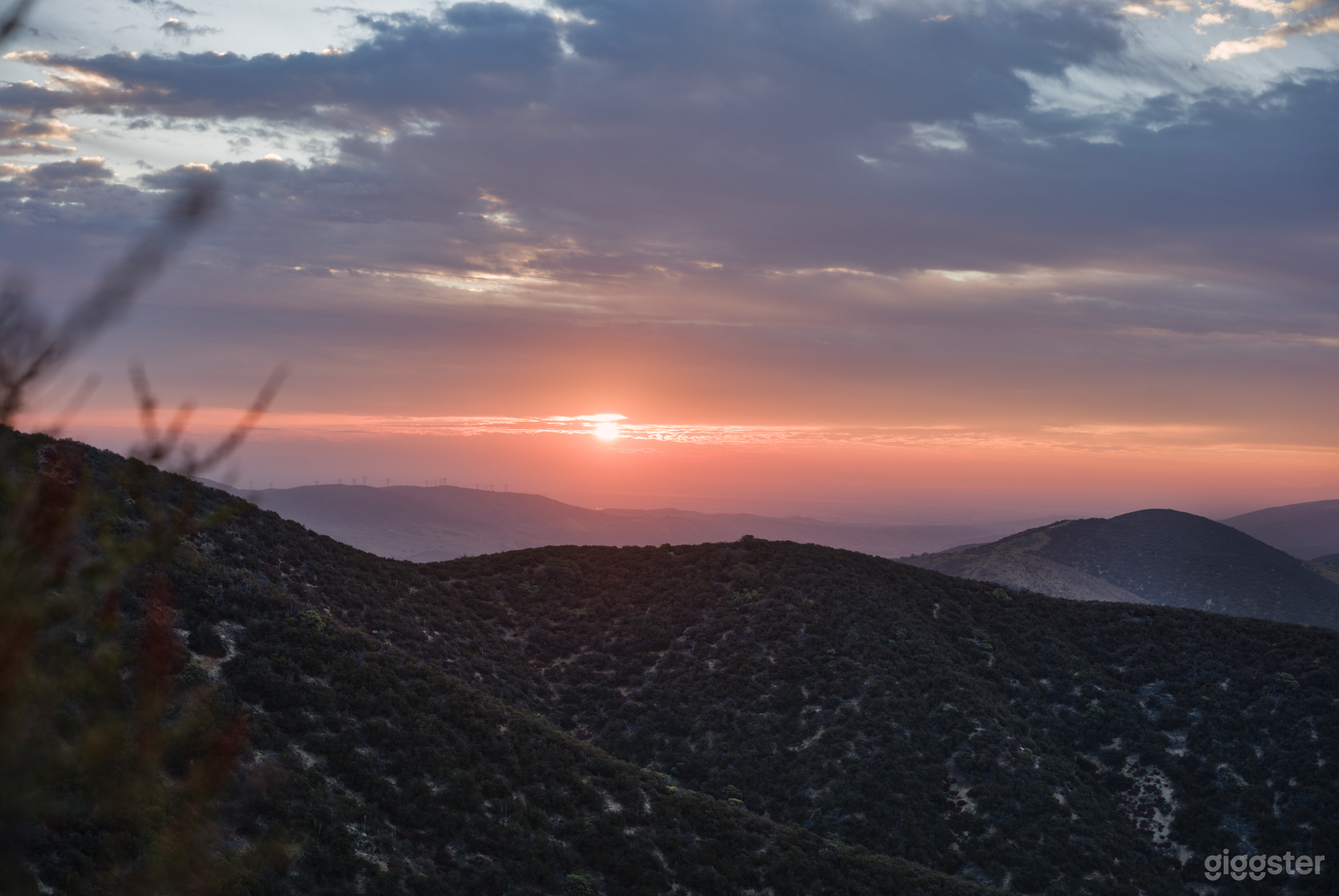 Expansive Mountain/Forest/Woods/Desert Backdrops Photo 2