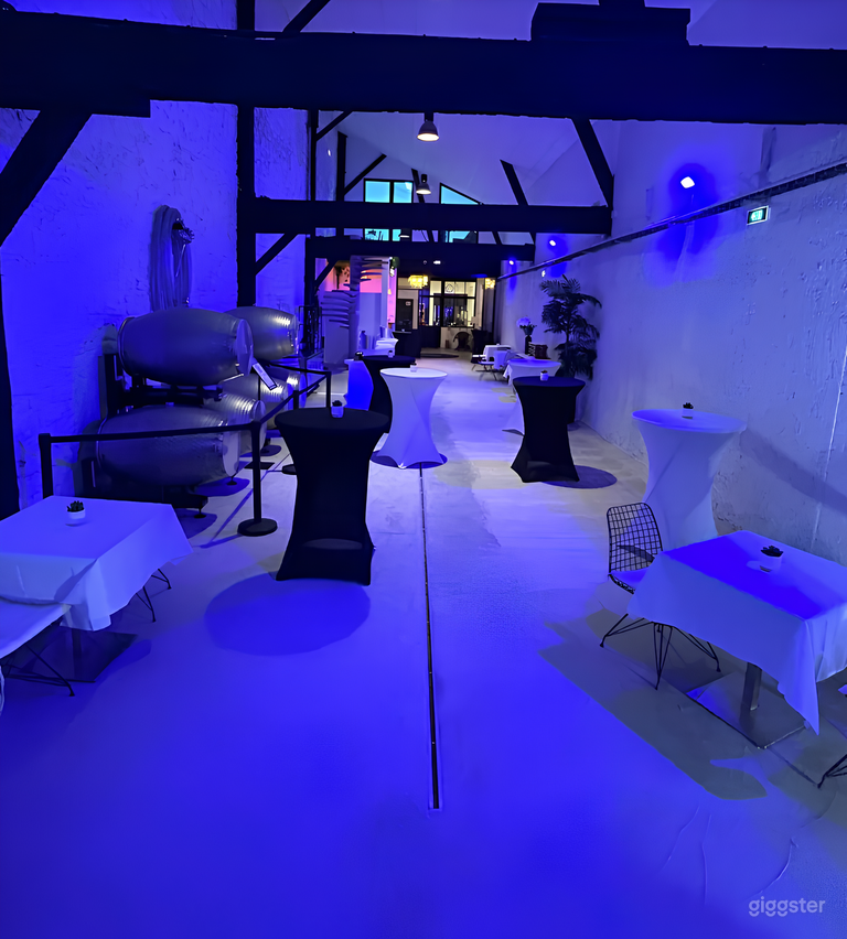  Salle de Cave + Hall avec Terrasse & Pergola 