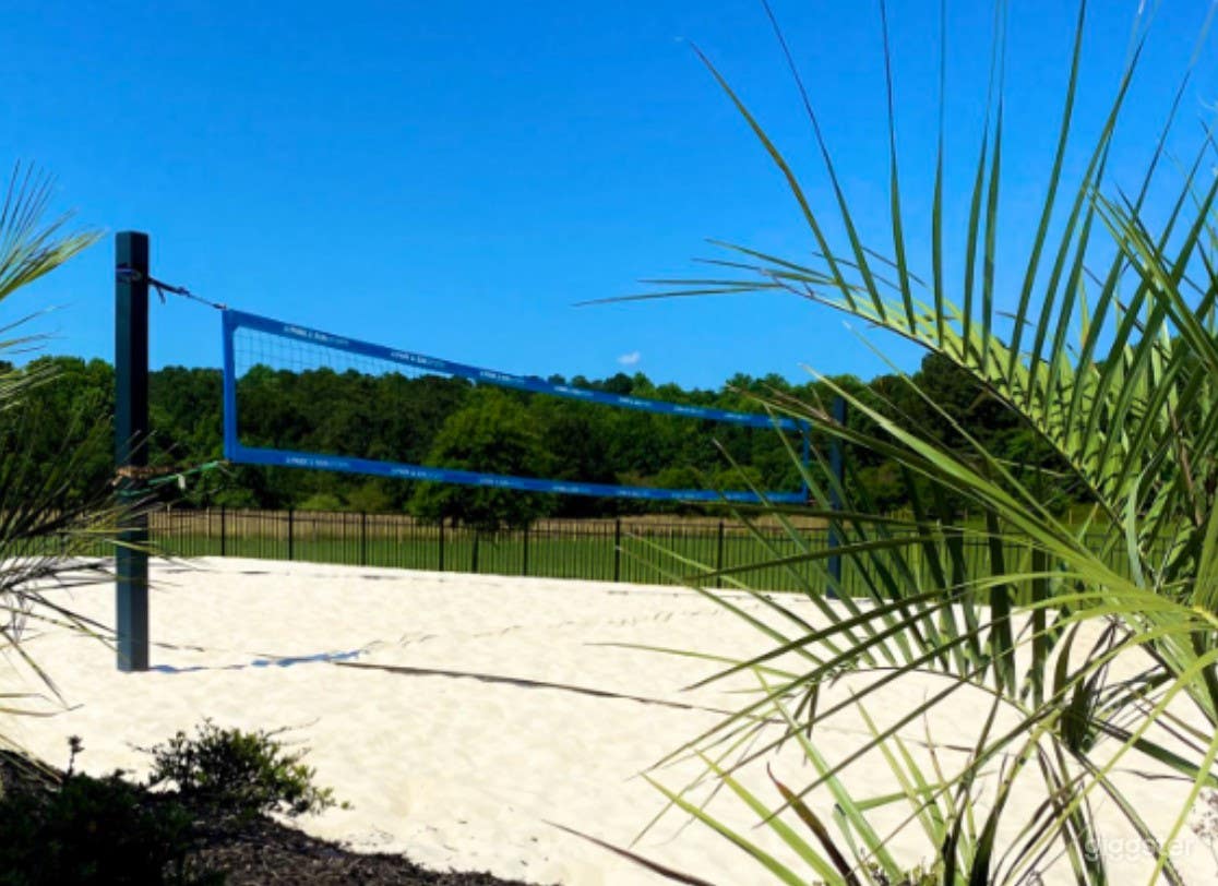 90x50 Classy Volleyball Court with Sugar Sand Photo 4