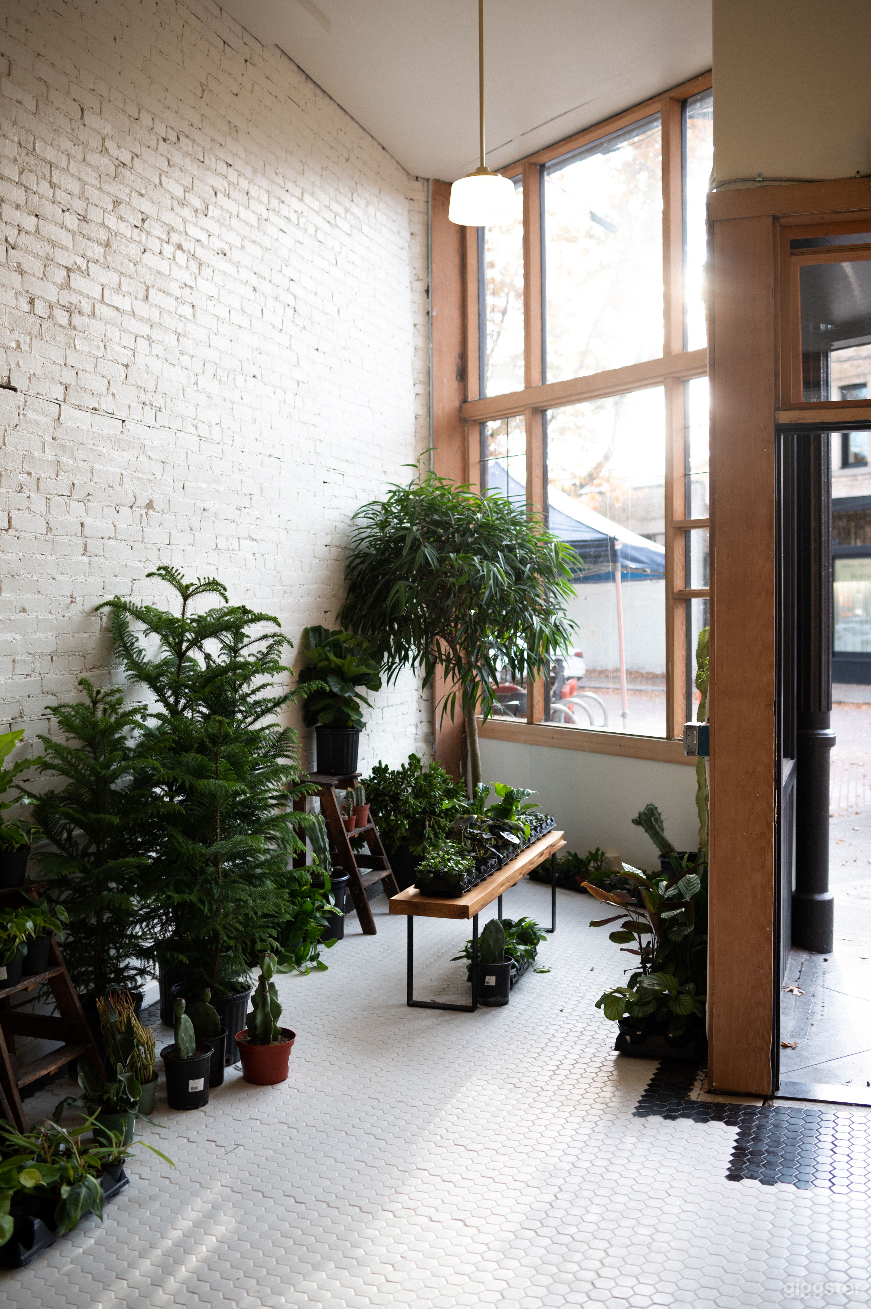 Inspiring Plant shop  Photo 4