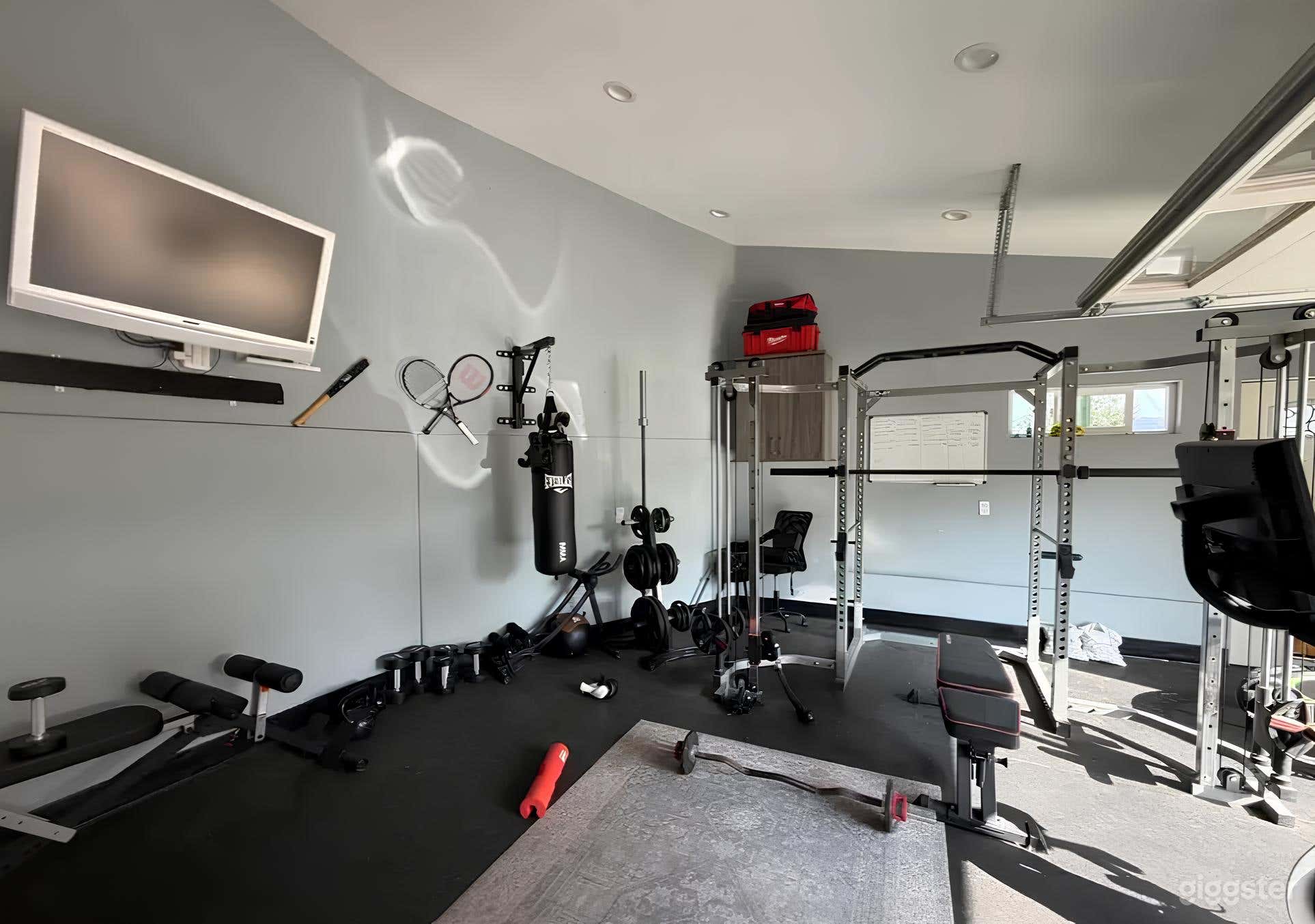 Fully Equipped Home Gym Photo 3